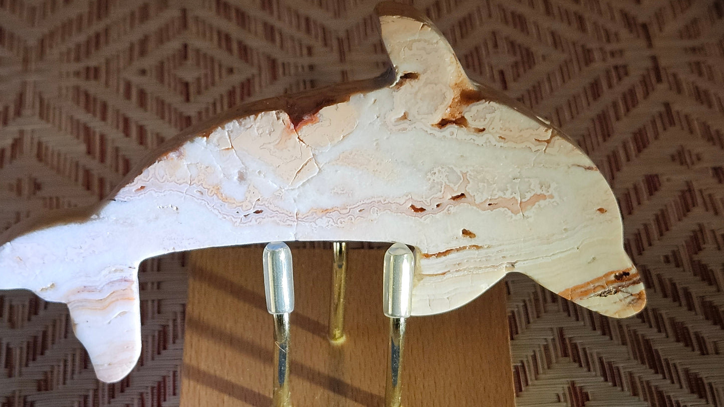 Crazy Lace Agate Dolphins #1