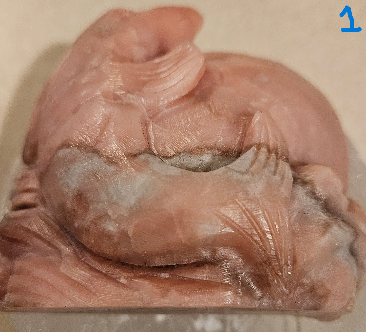 Pink Opal Dolphins (1-5) 1