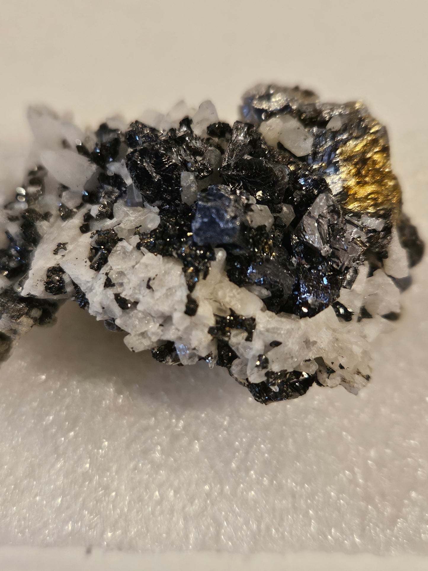 Galena on Pyrite & Quartz (Peru)