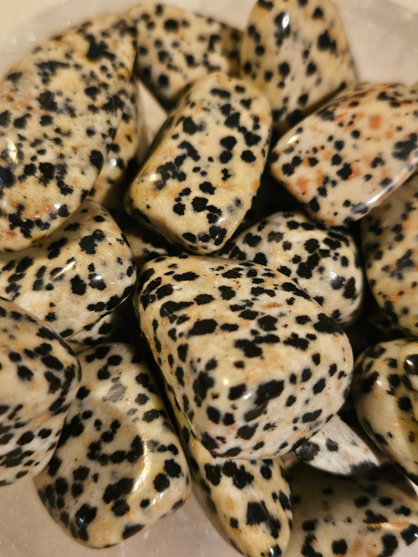 Dalmatian Stone - Tumble Stone