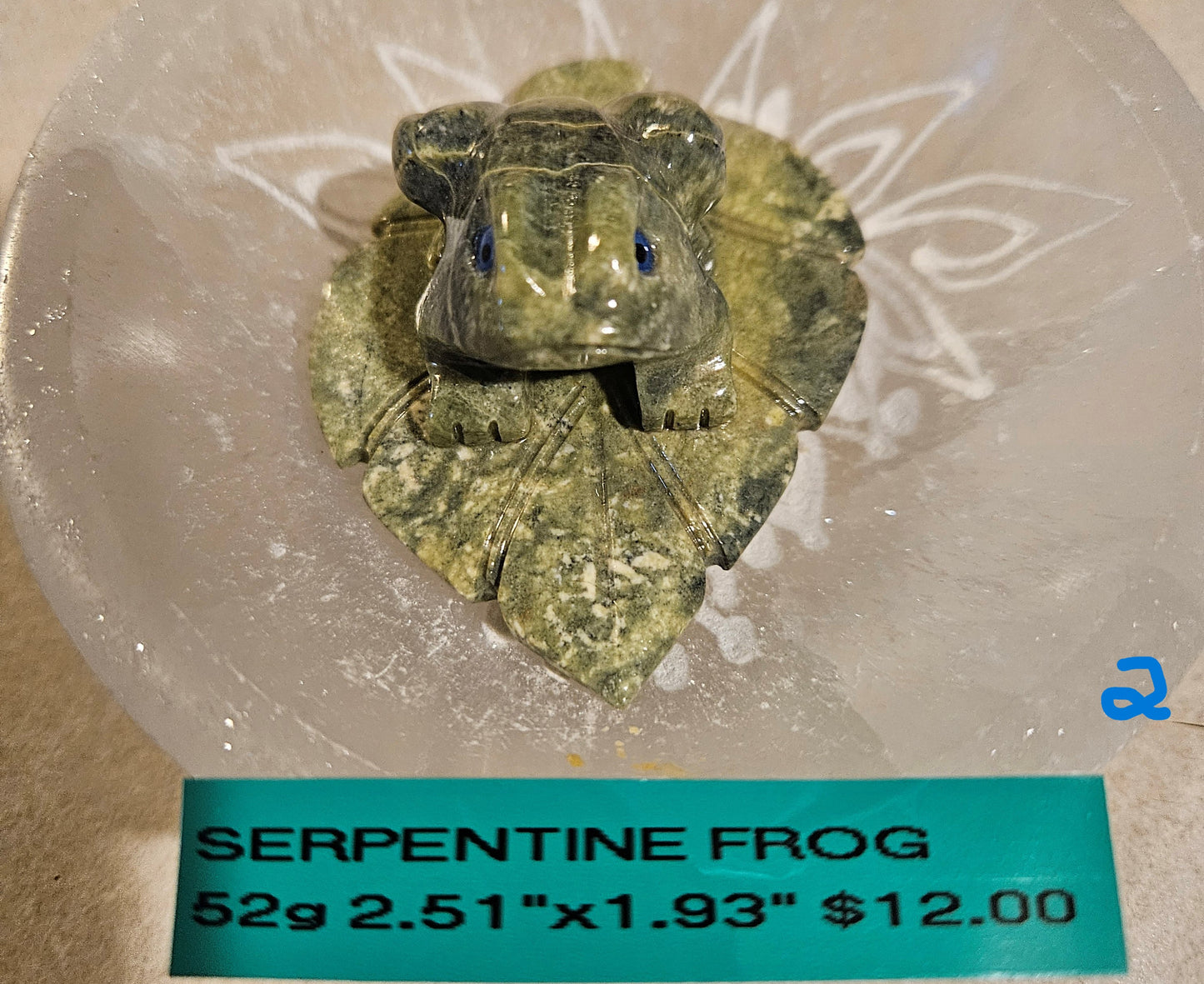 Serpentine Frog on Leaf 2