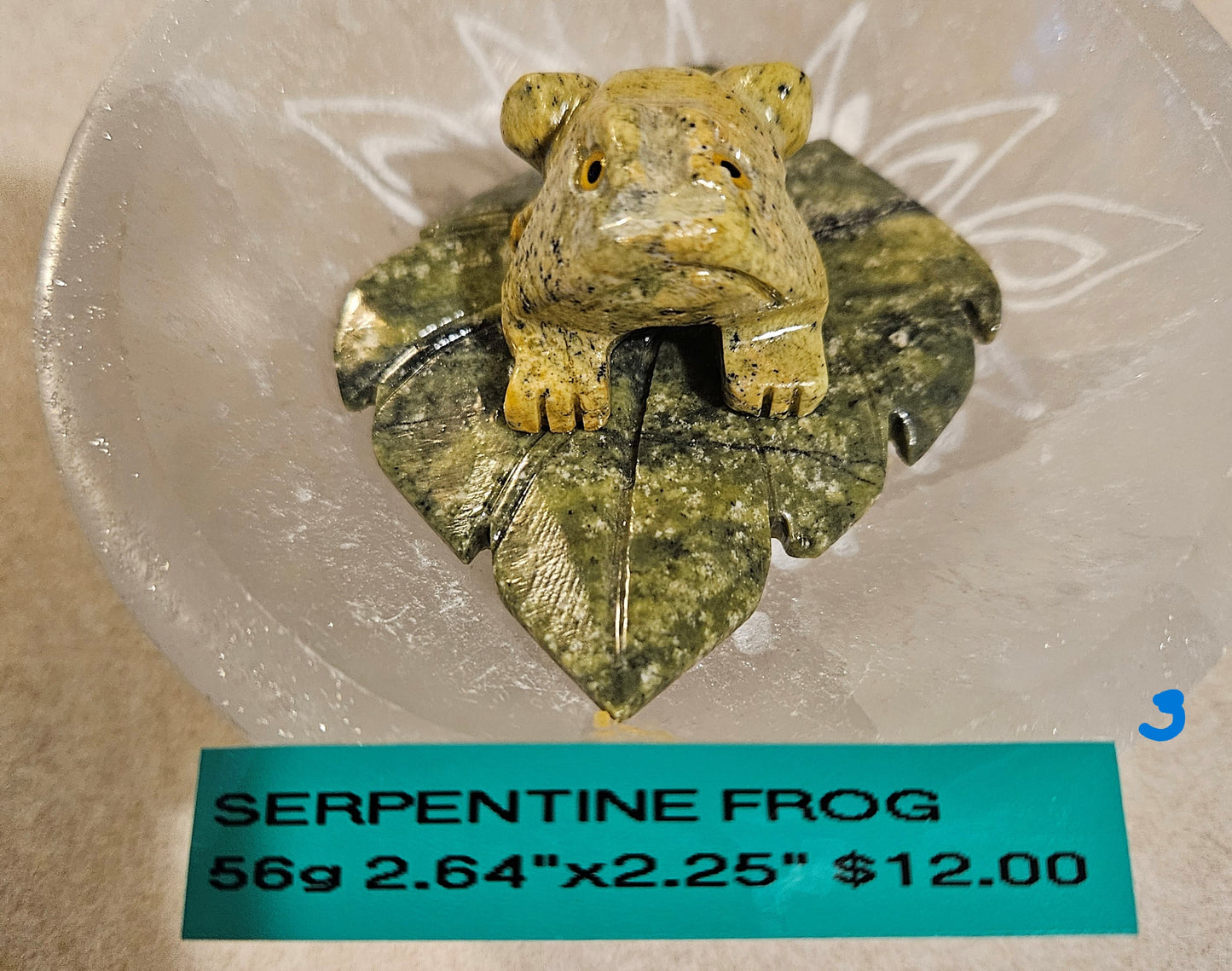 Serpentine Frog on Leaf 3