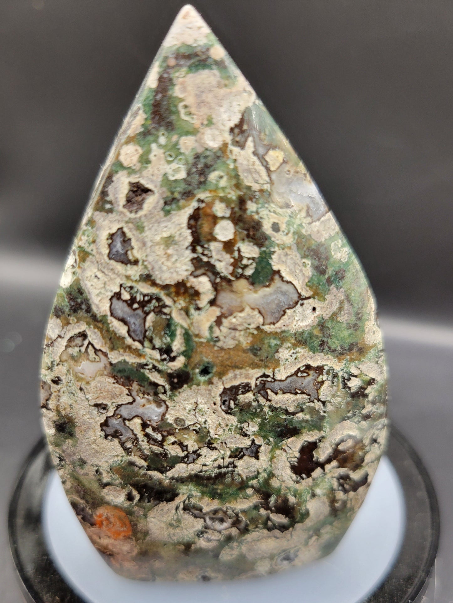 Rain Forest Jasper Flame #1
