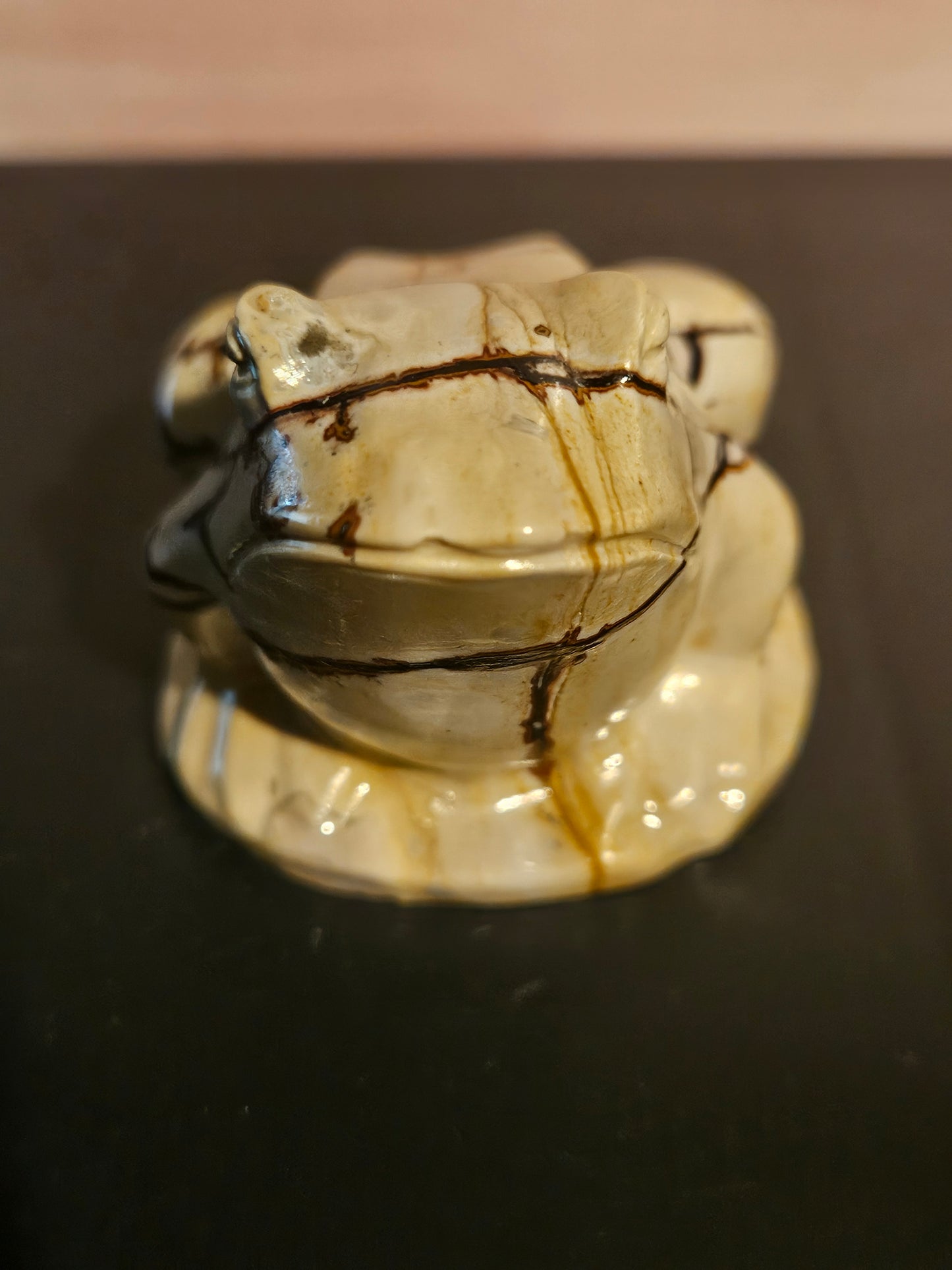 Picture Jasper  - Frog #2