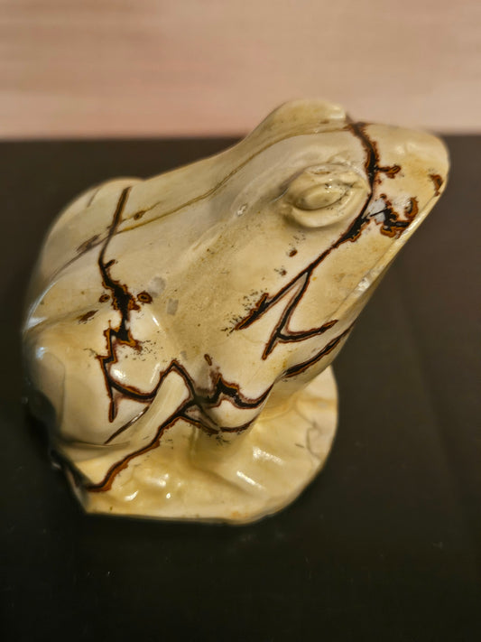 Picture Jasper  - Frog #2