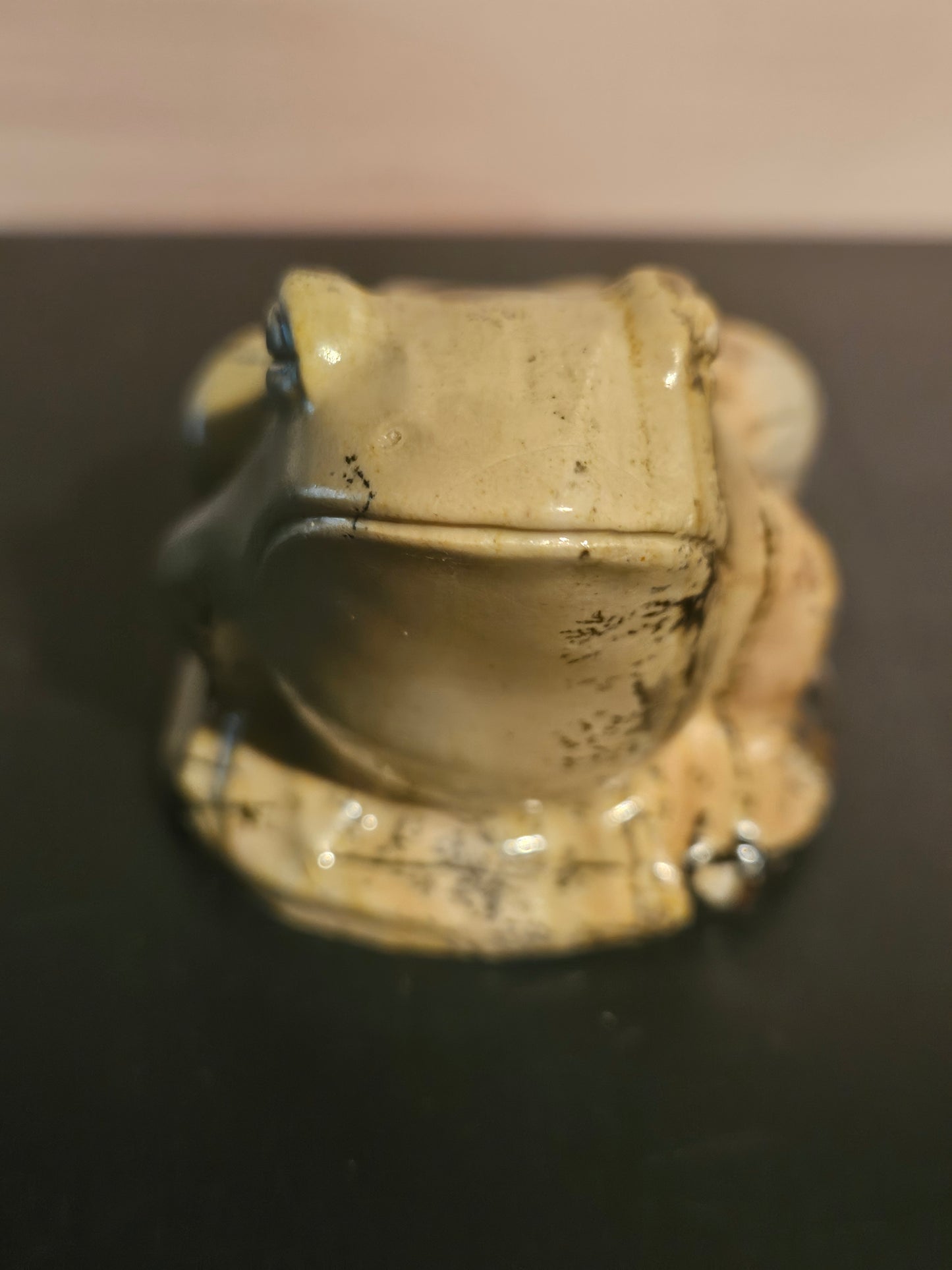 Picture Jasper - Frog #3