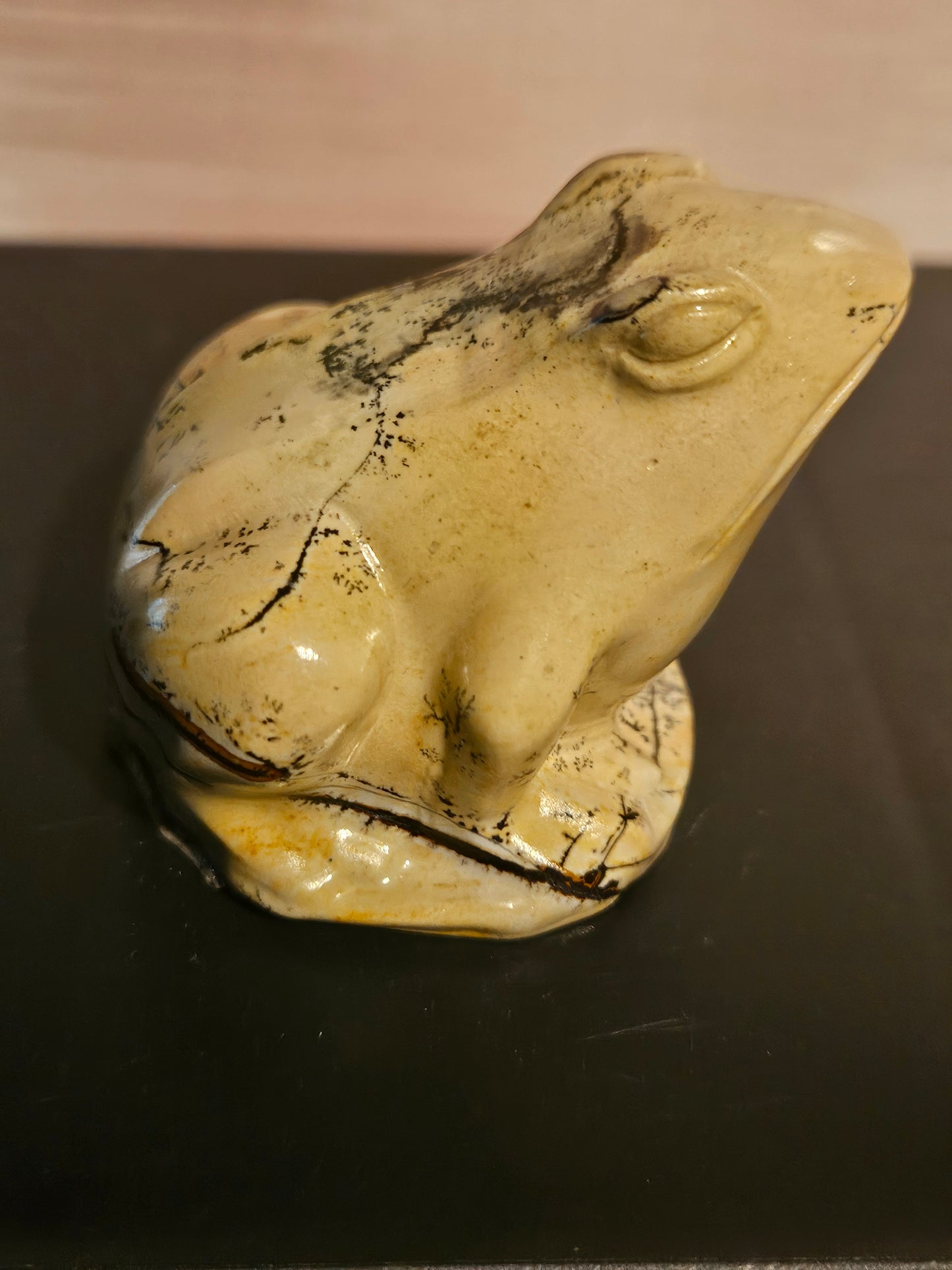 Picture Jasper - Frog #3