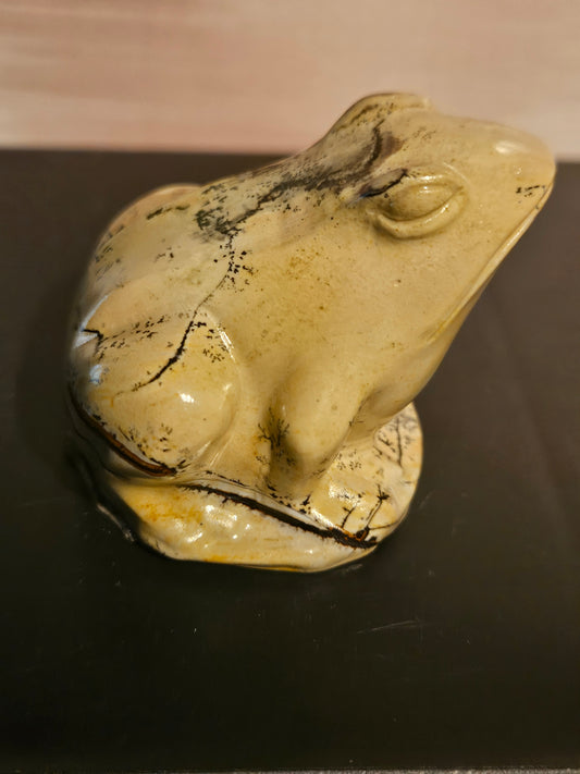 Picture Jasper - Frog #3