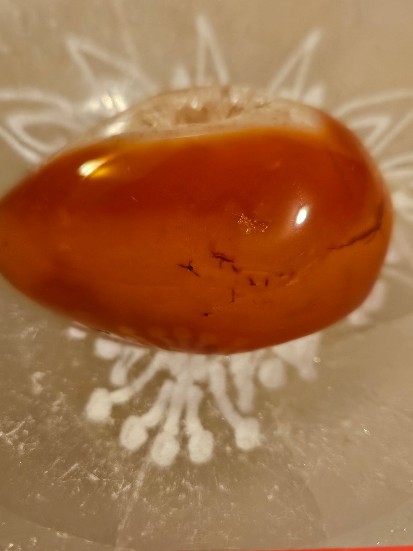 Carnelian Geode Druzy #3