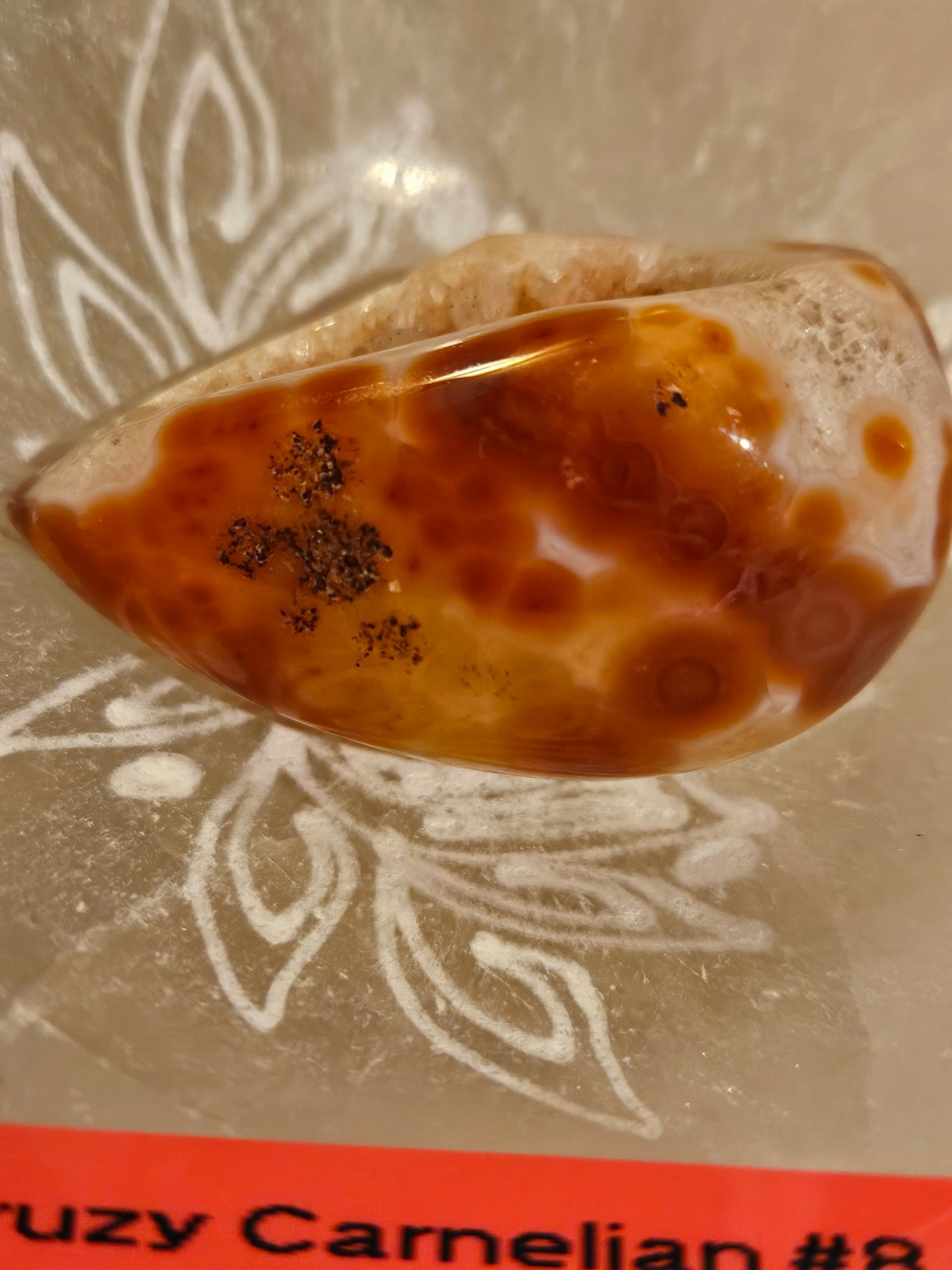 Carnelian Geode Druzy #8