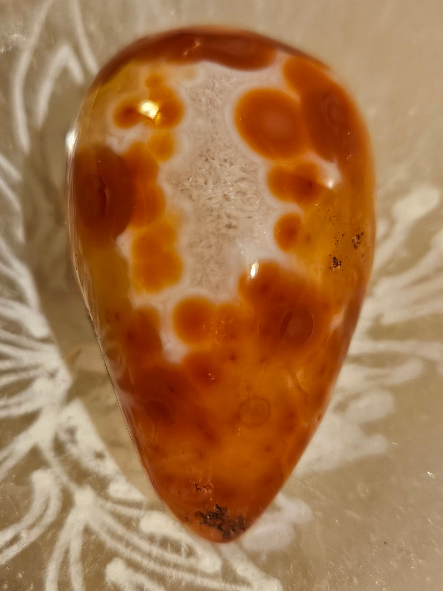 Carnelian Geode Druzy #8