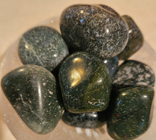 Moss Agate Tumble Stones