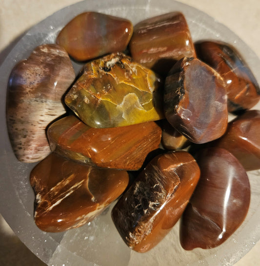 Petrified Wood Tumble Stone