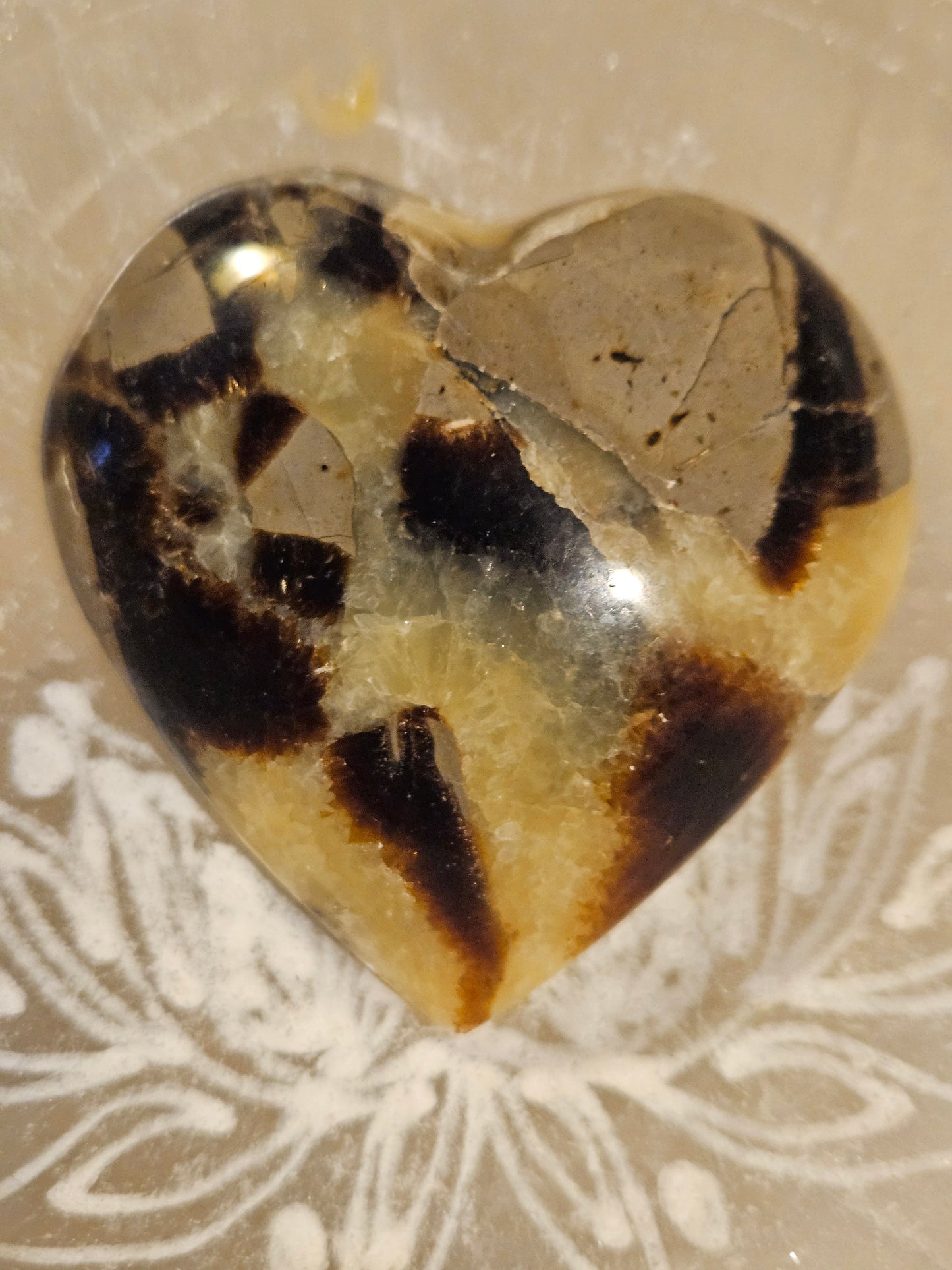 Septarian [Dragon Stone] Heart (M)