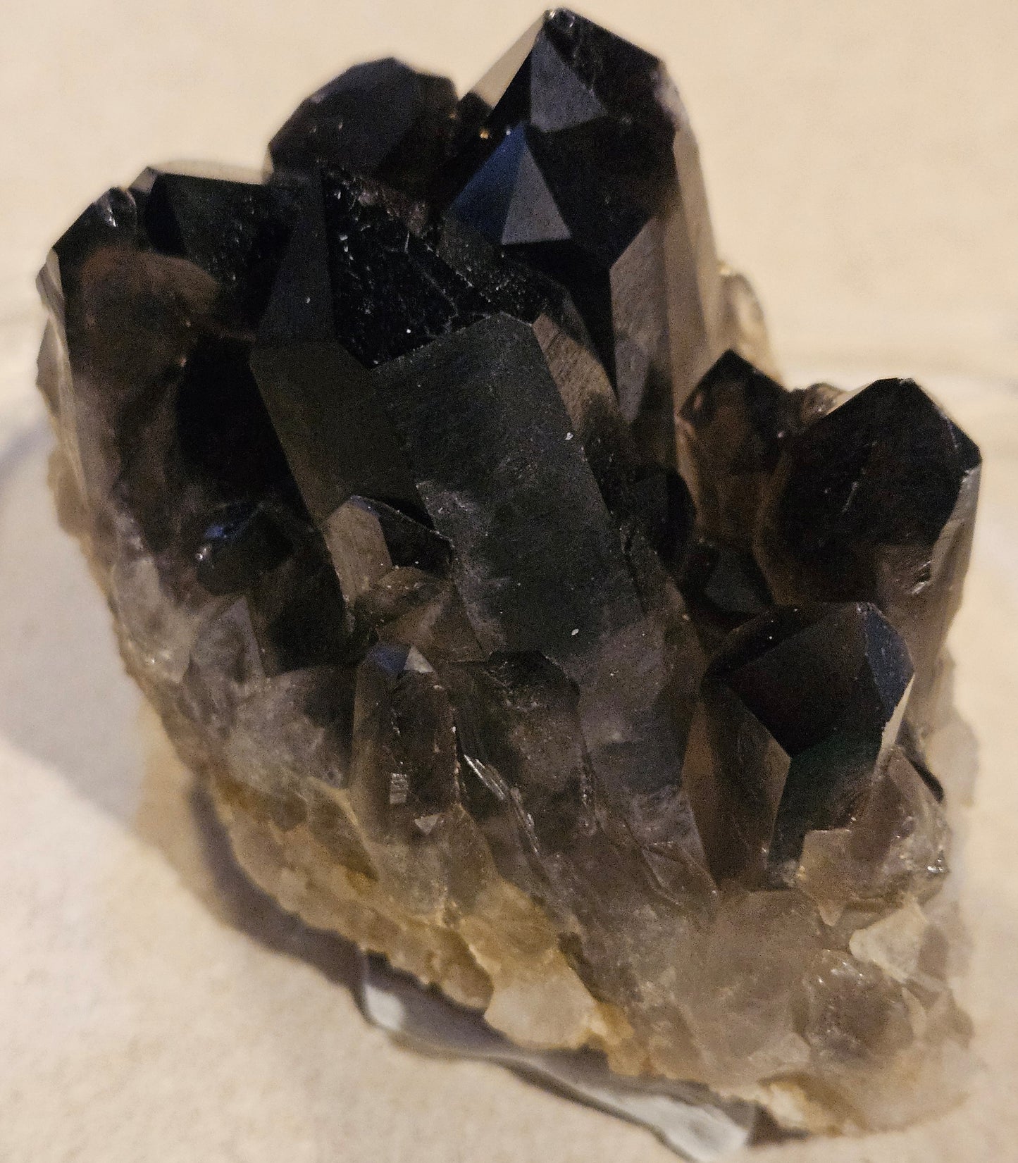 Dark Smoky Quartz Crystal Cluster [Brazil]