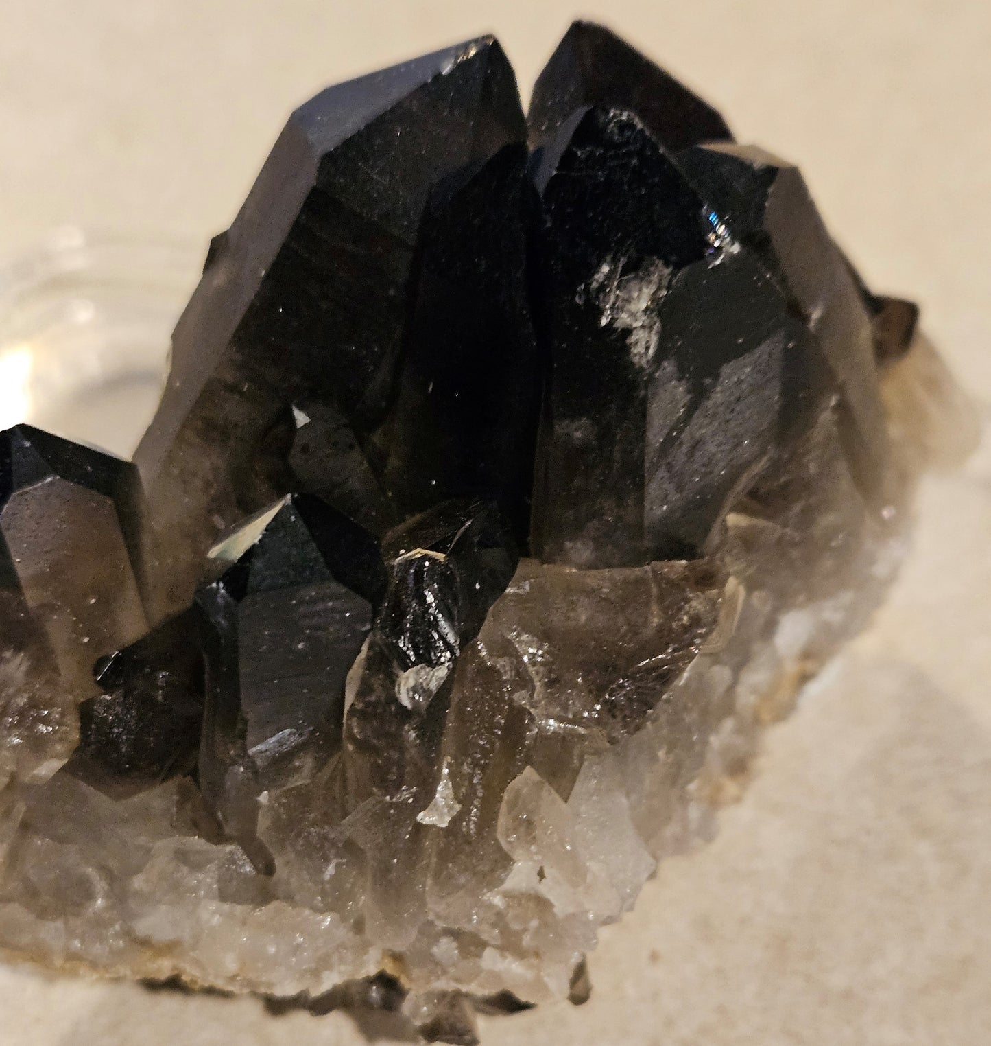 Dark Smoky Quartz Crystal Cluster [Brazil]