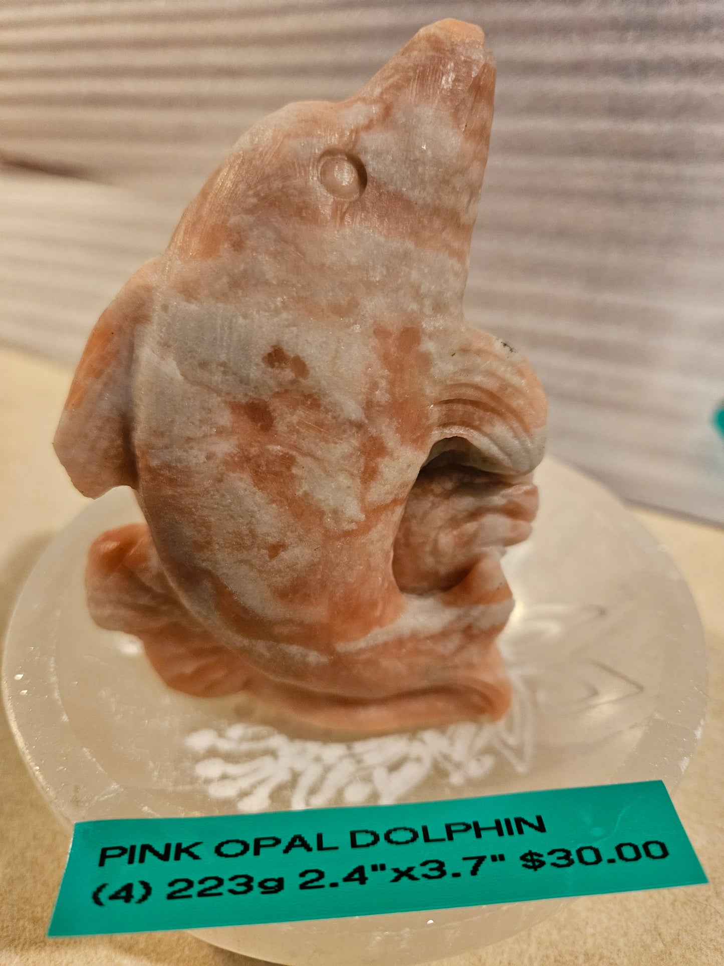 Pink Opal Dolphins (1-5) 4