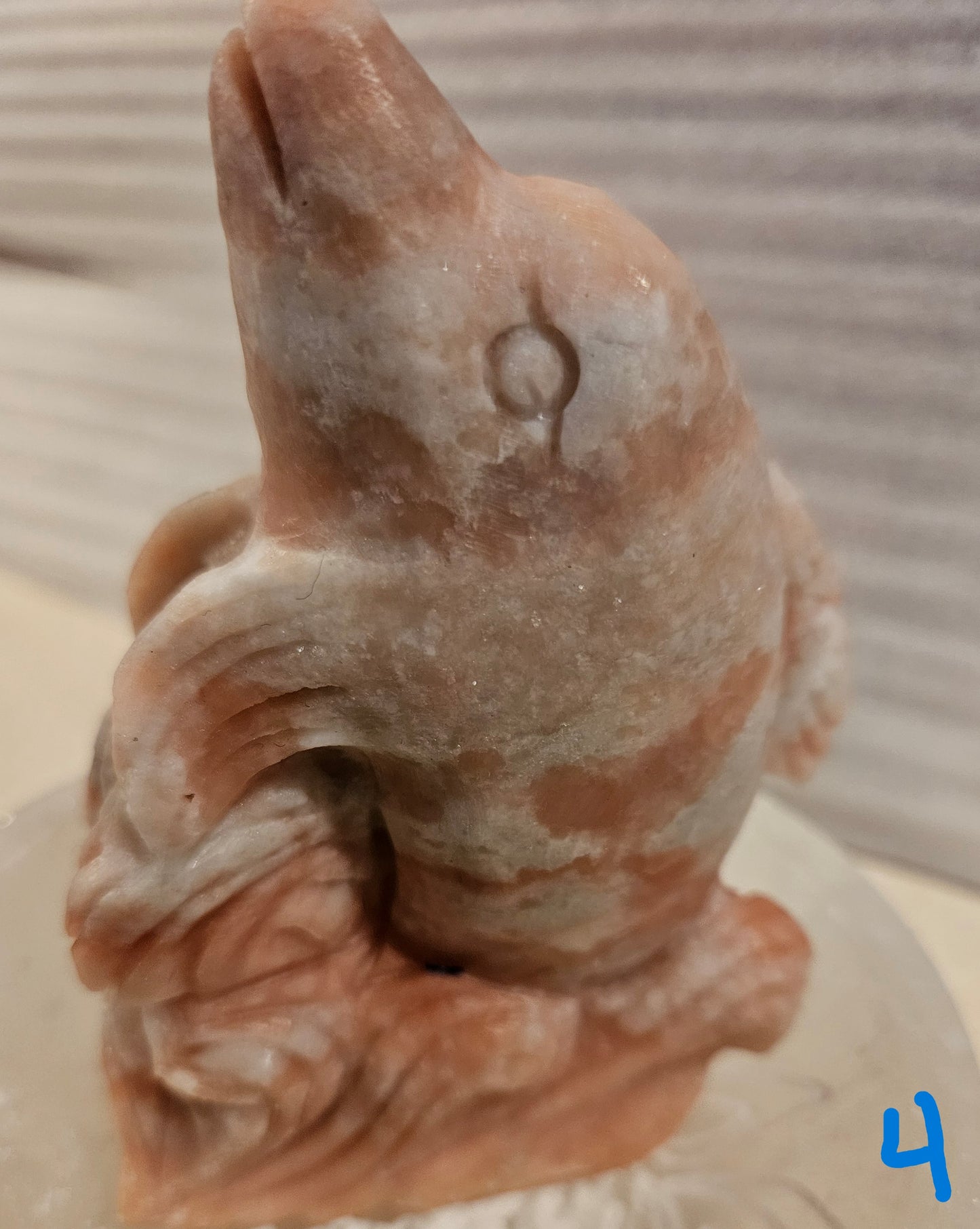 Pink Opal Dolphins (1-5) 4