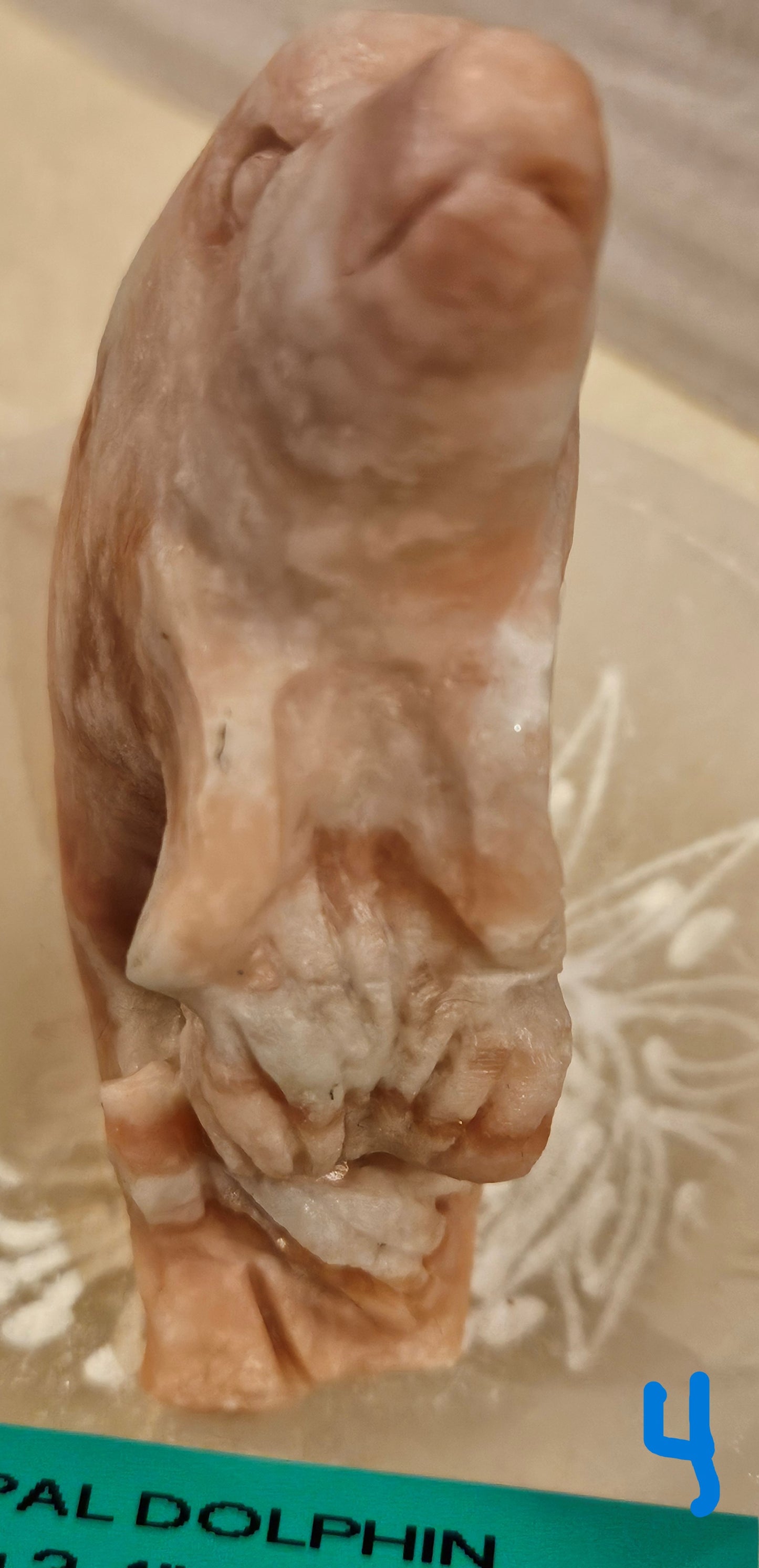 Pink Opal Dolphins (1-5) 4