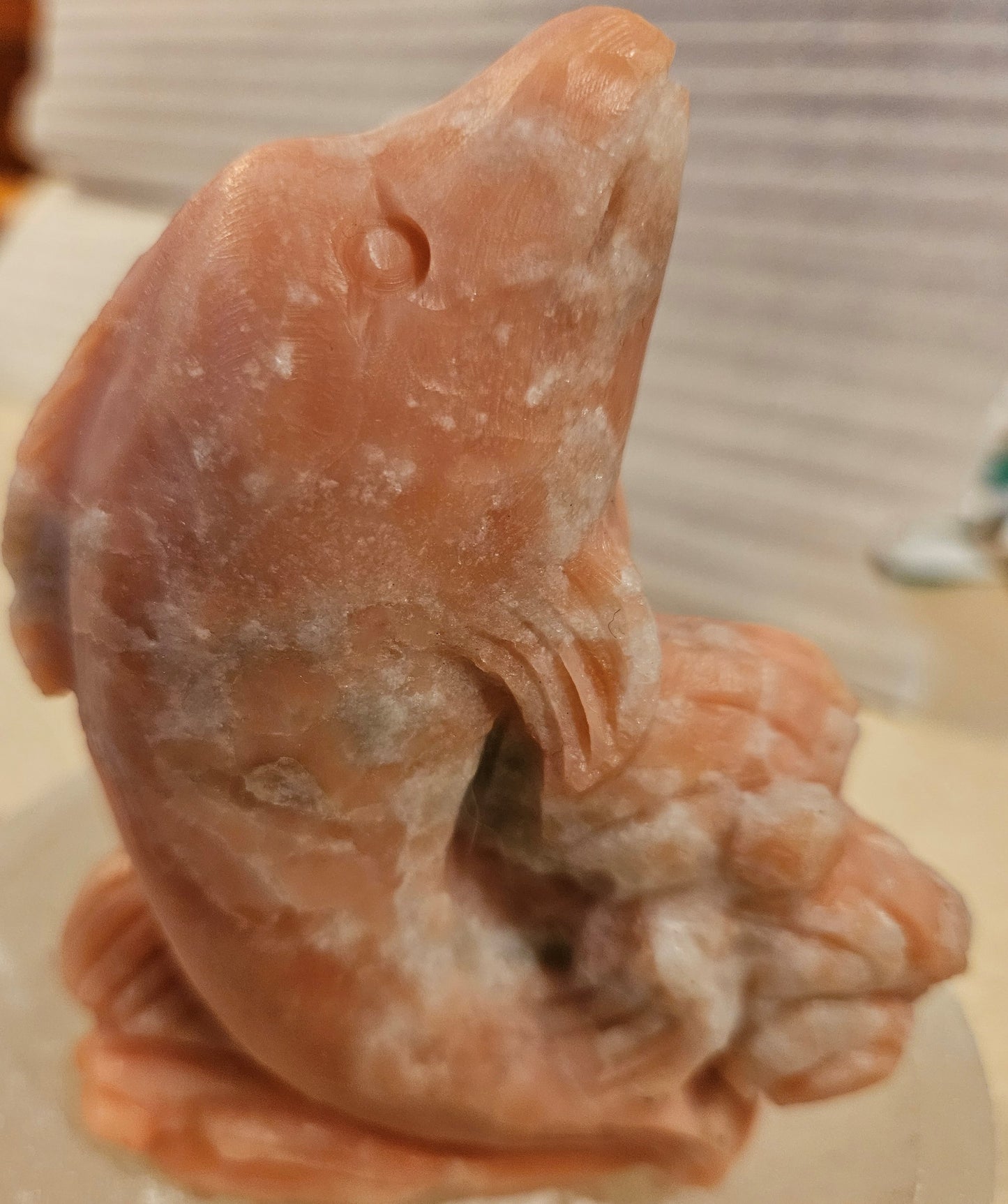 Pink Opal Dolphins (1-5) 5