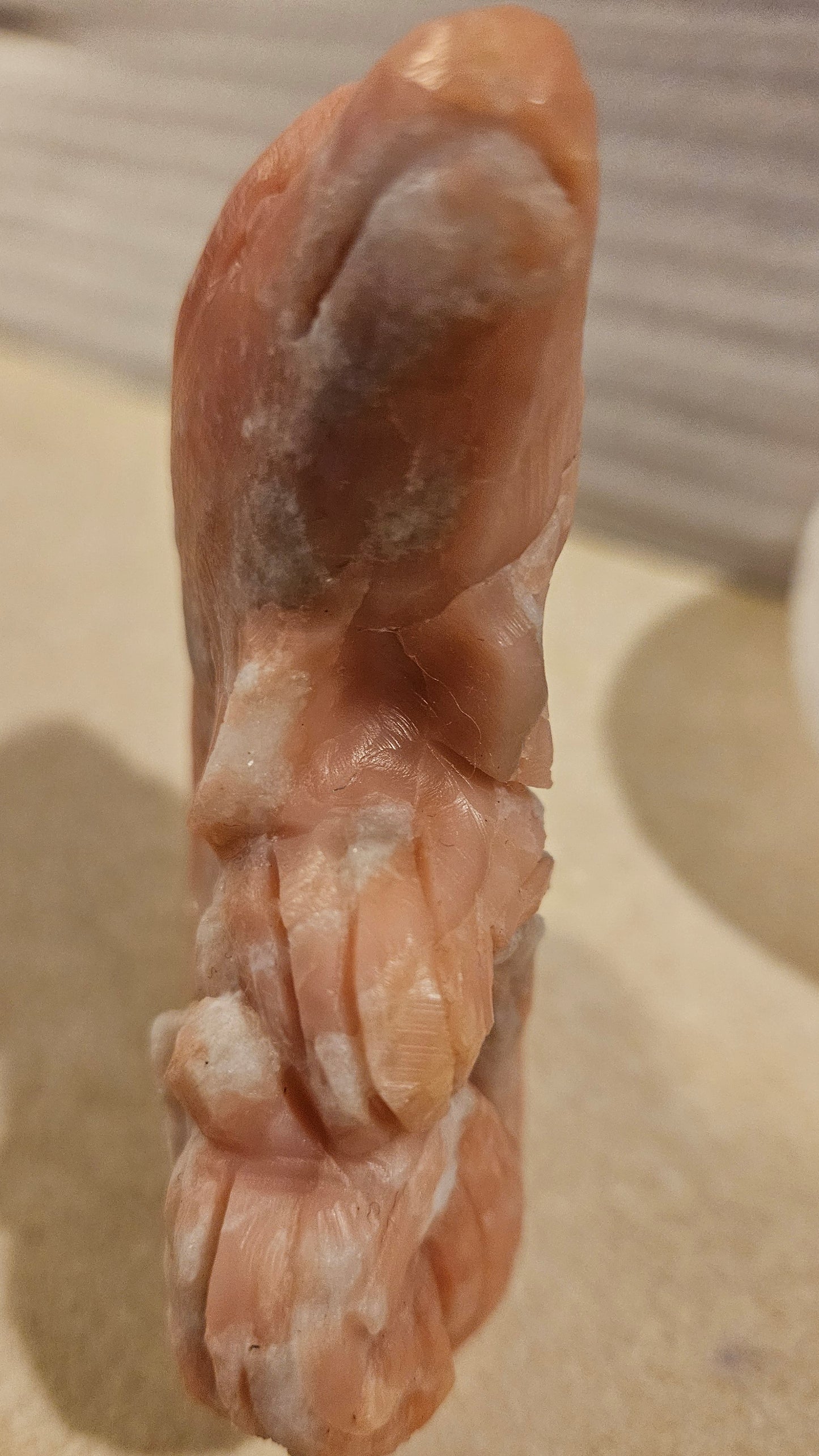 Pink Opal Dolphins (1-5) 5