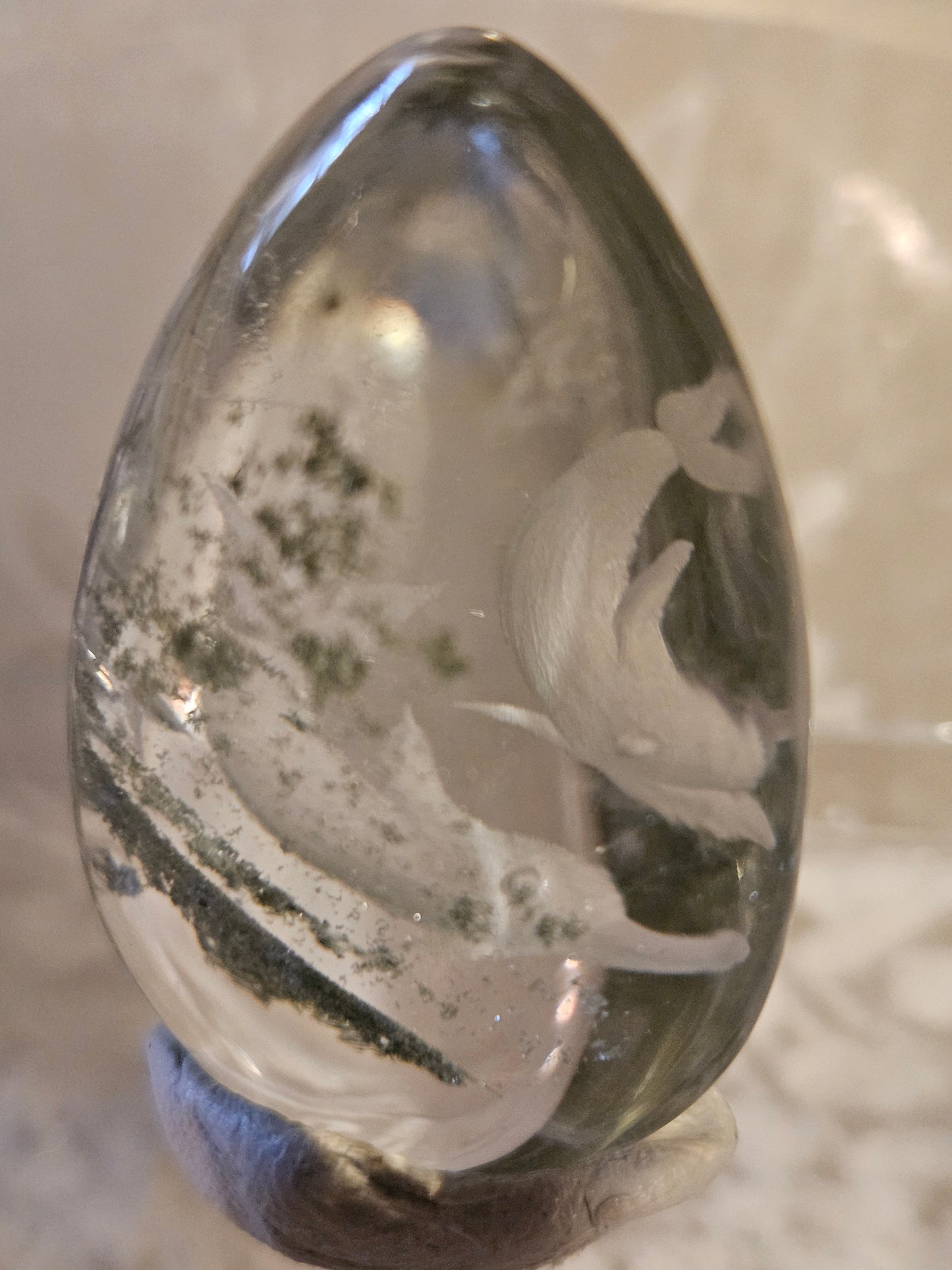 Dolphin Garden Quartz 1