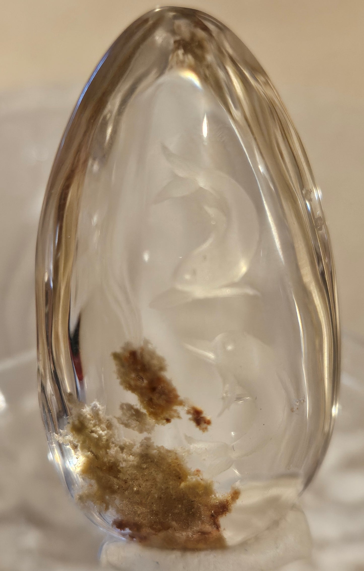 Dolphin Garden Quartz 2