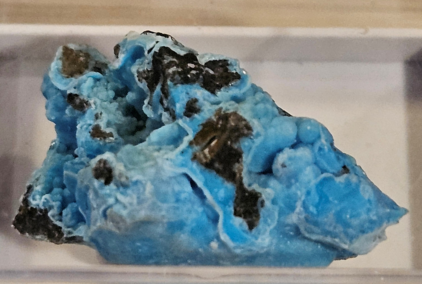 Vibrant Blue "Botryoidal Gearksutite and Cupro-Allophane" - China