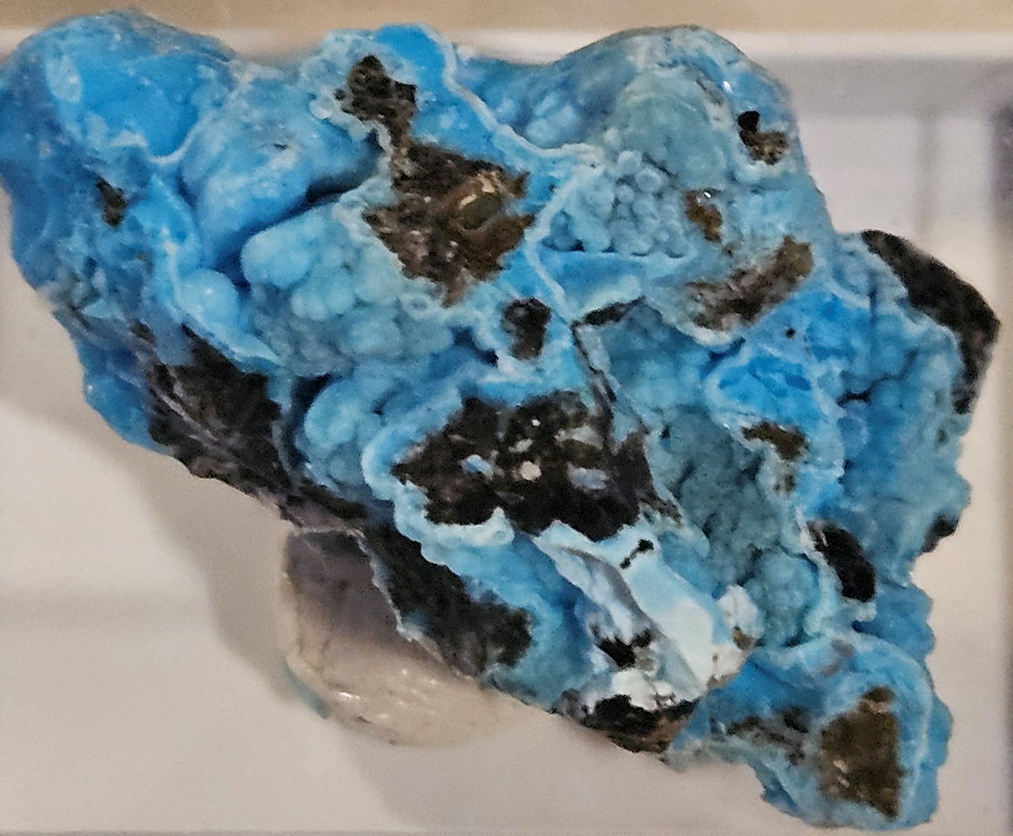 Vibrant Blue "Botryoidal Gearksutite and Cupro-Allophane" - China