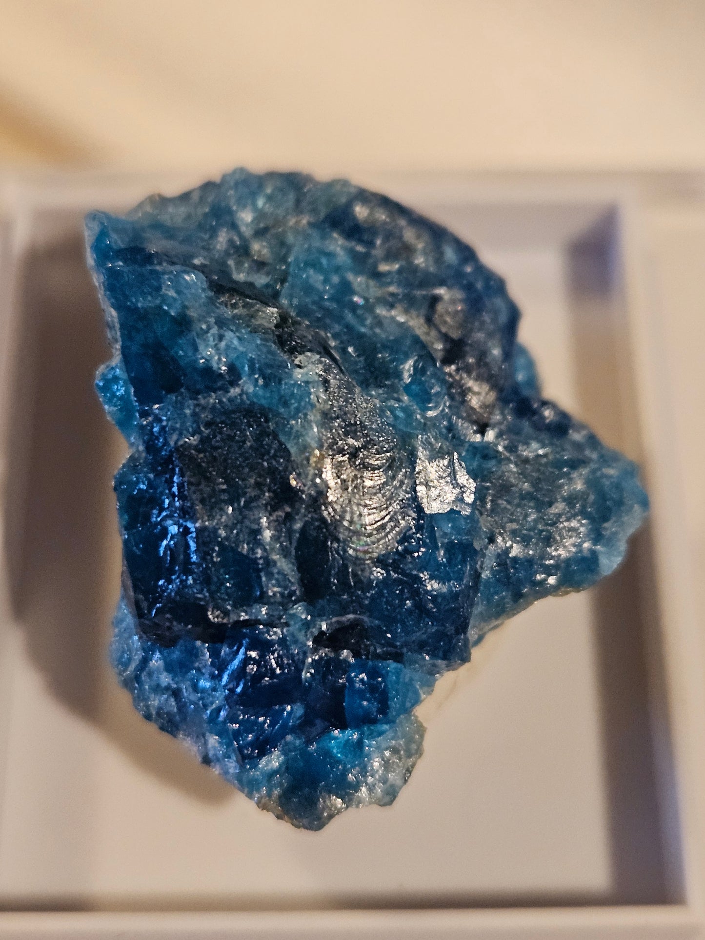 Blue Apatite [Raw] Madagascar