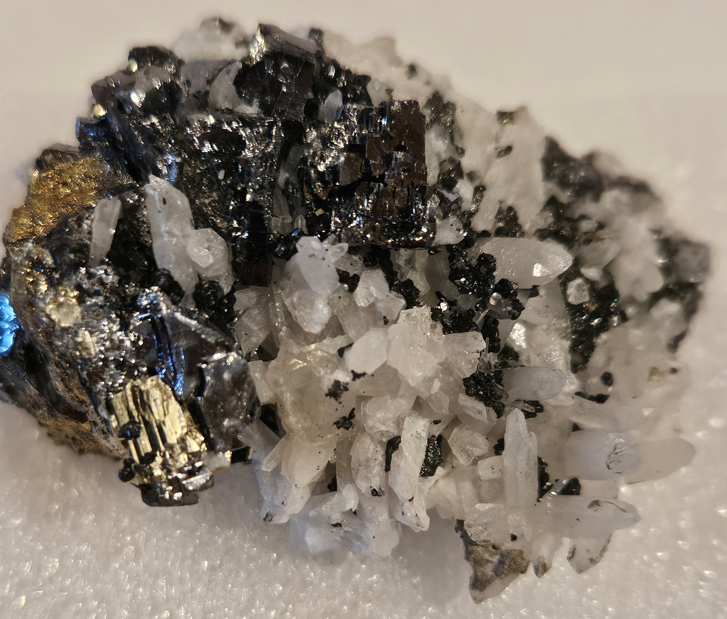 Galena on Pyrite & Quartz (Peru)