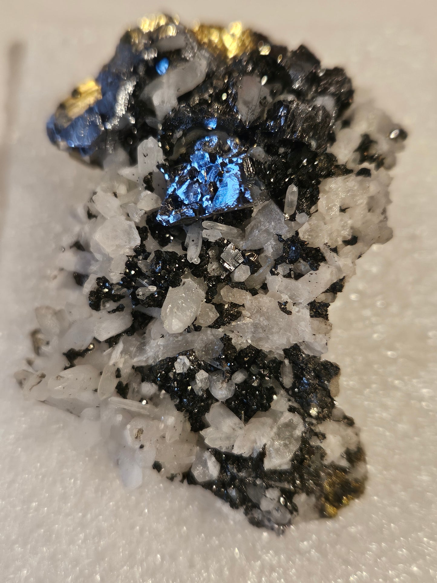 Galena on Pyrite & Quartz (Peru)