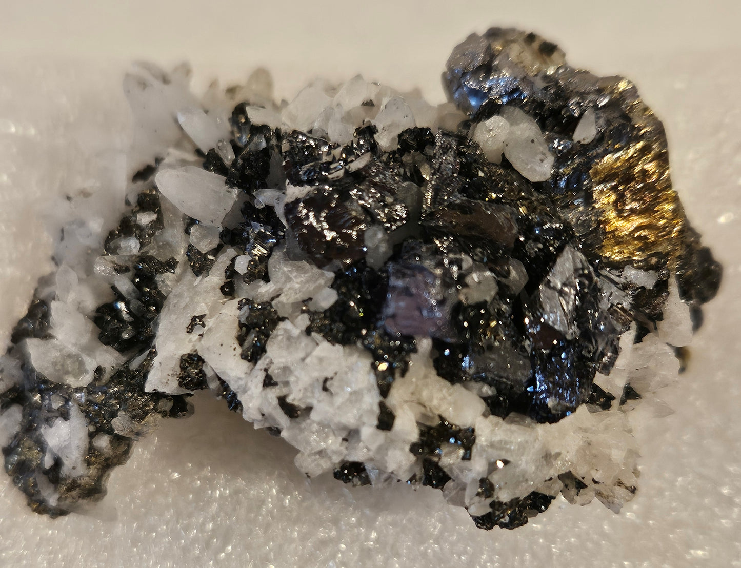 Galena on Pyrite & Quartz (Peru)