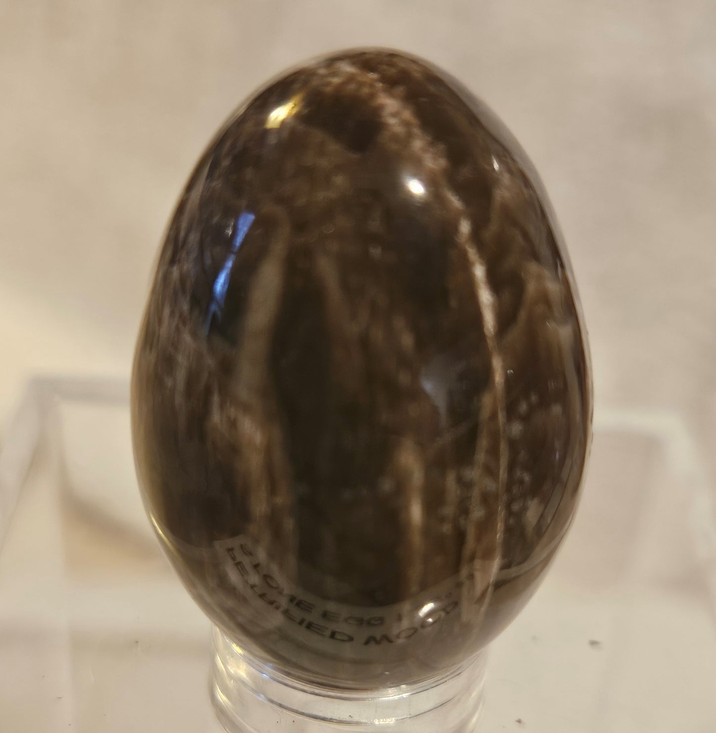 Petrified Wood Egg [Australia]