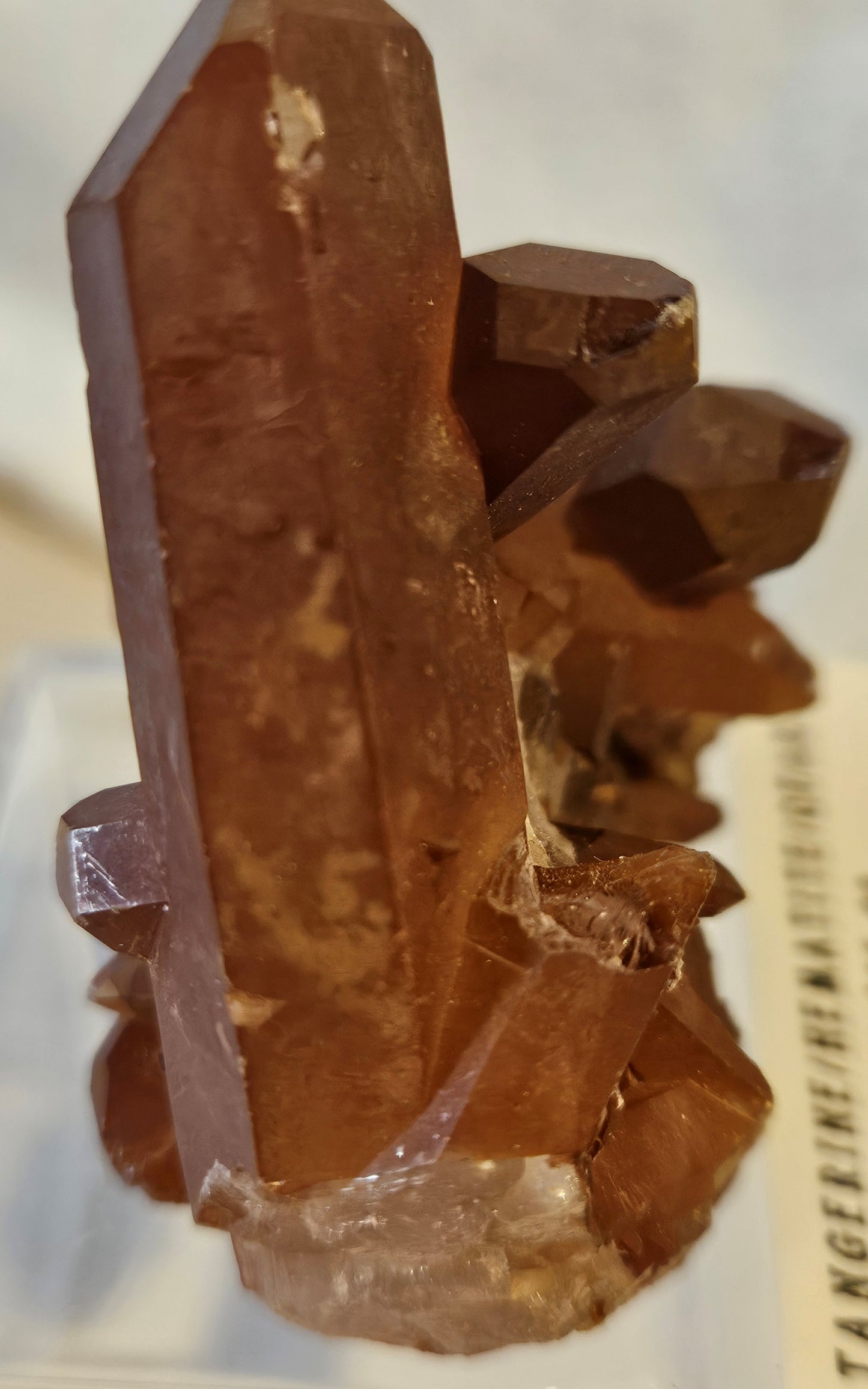 Tangerine (Hematite) Quartz Cluster [#4] Brazil