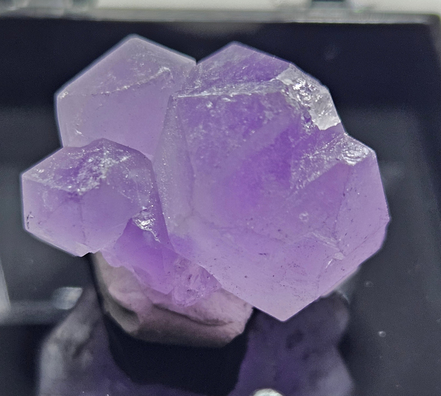 Amethyst Cluster [Small] #1