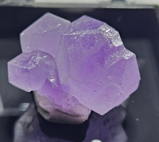 Amethyst Cluster [Small] #1