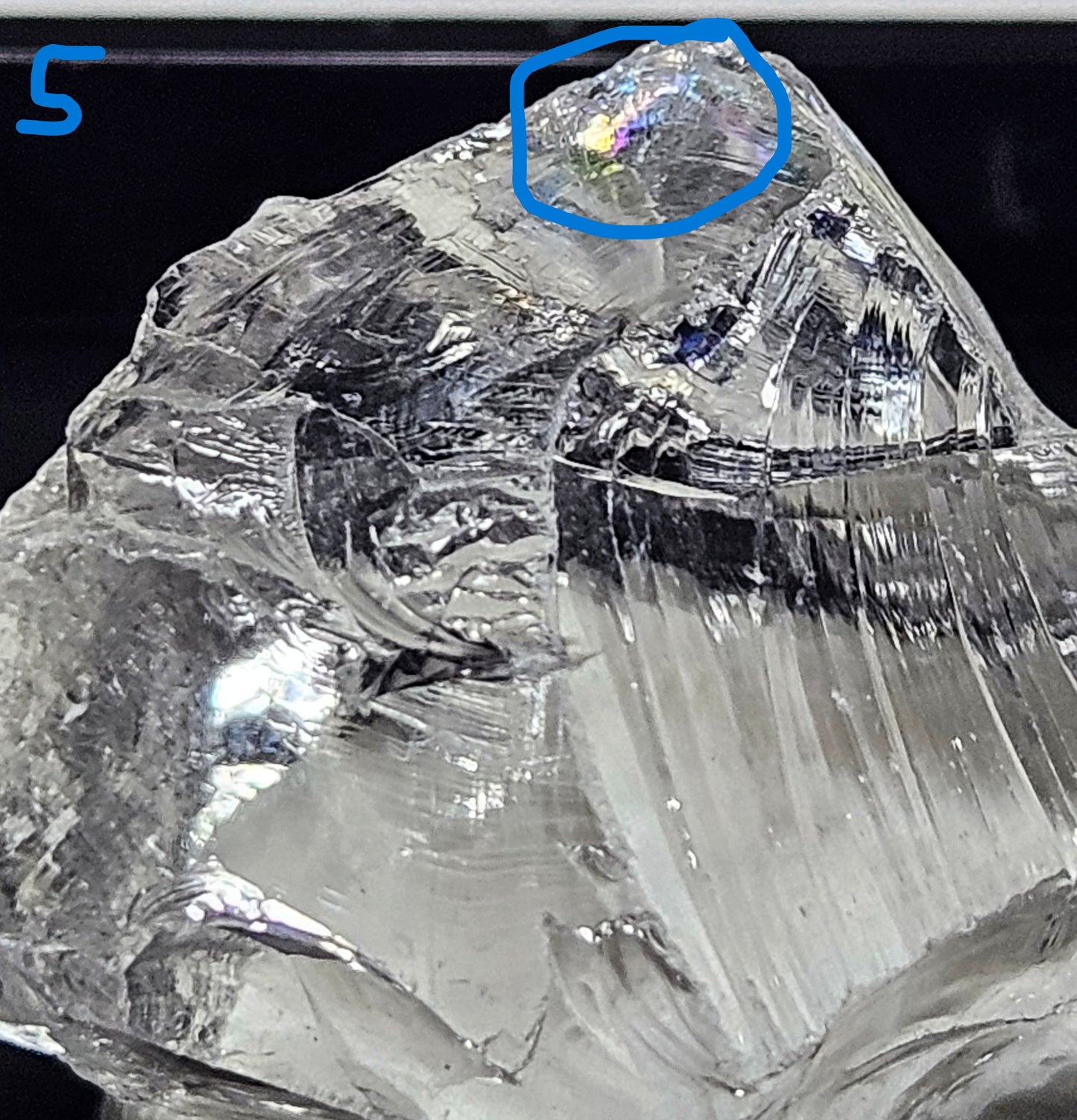 Russian Lemurian Ice Quartz [Rough] 5