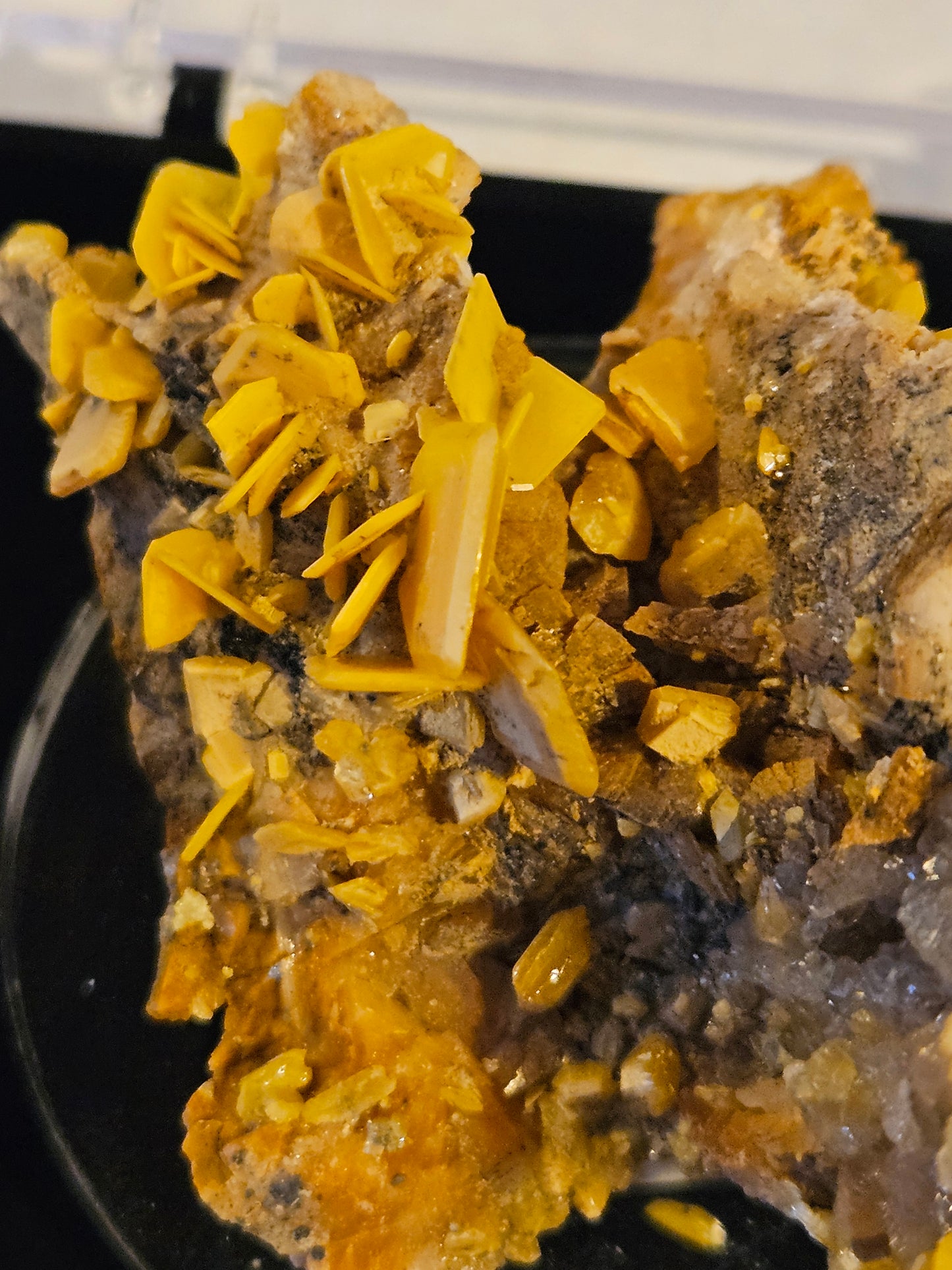 Wulfenite on Dolomite (2) - Bright Yellow [Morocco]