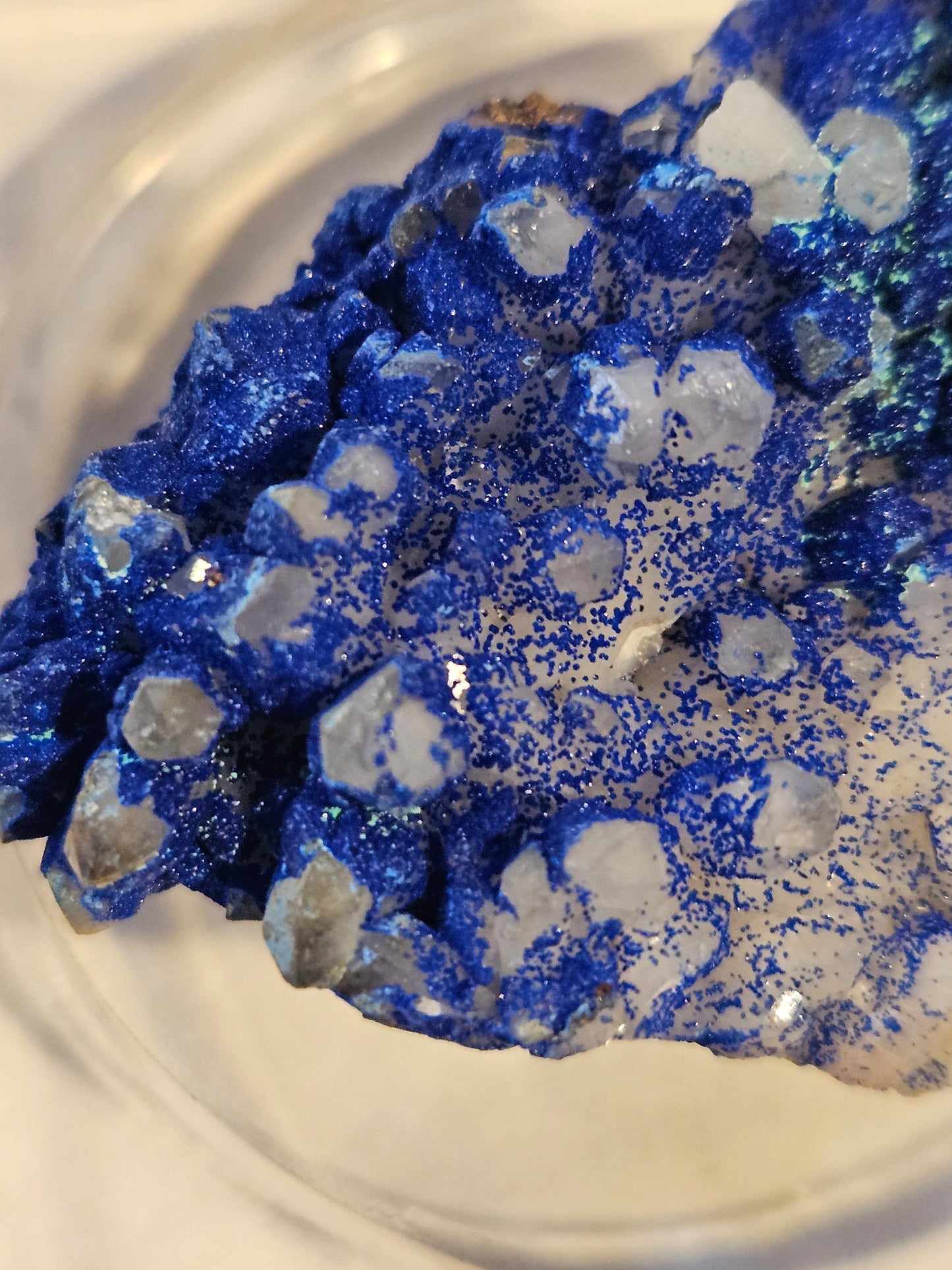 Vivid-Blue Azurite Encrusted Quartz [w/Malachite]