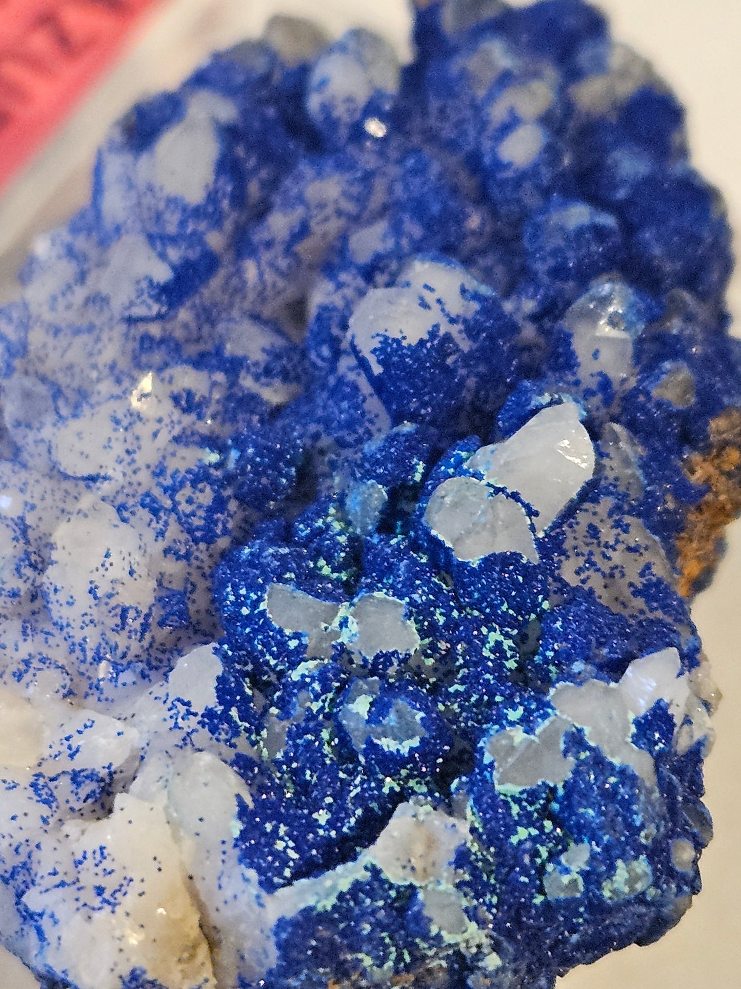 Vivid-Blue Azurite Encrusted Quartz [w/Malachite]