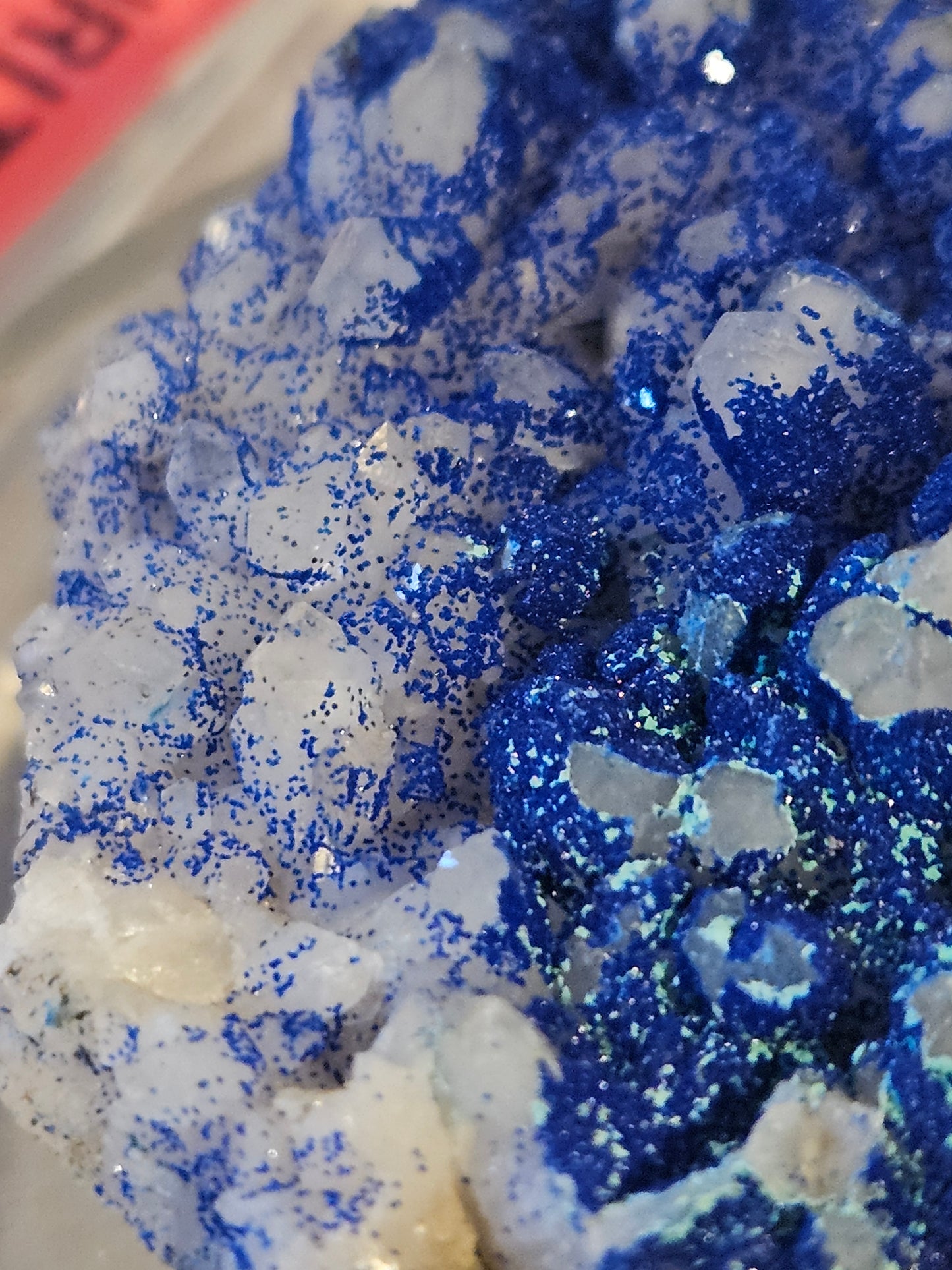 Vivid-Blue Azurite Encrusted Quartz [w/Malachite]