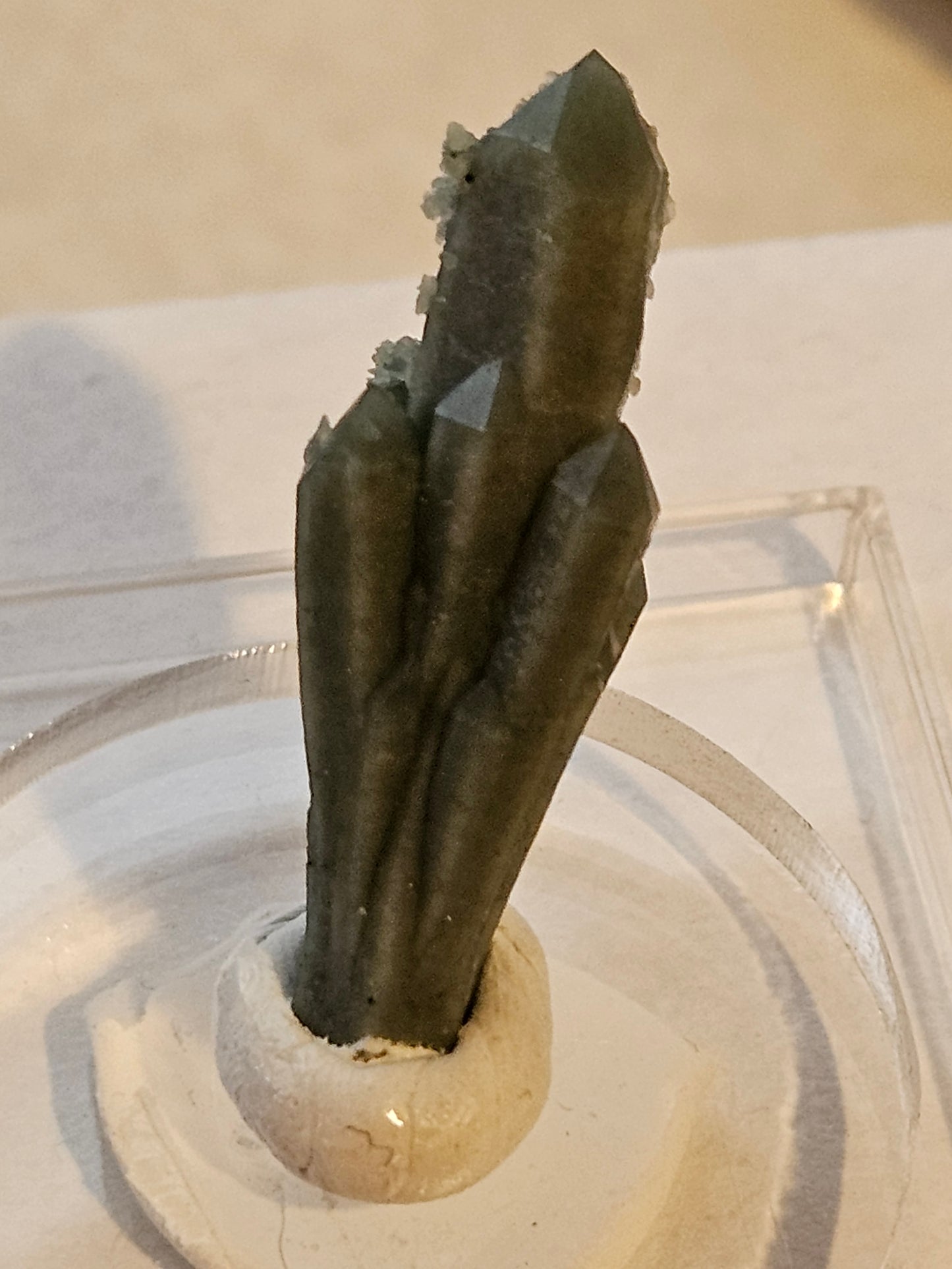 Green Quartz Cluster [Ilvaite on Hedenbergite] (2) : Mongolia