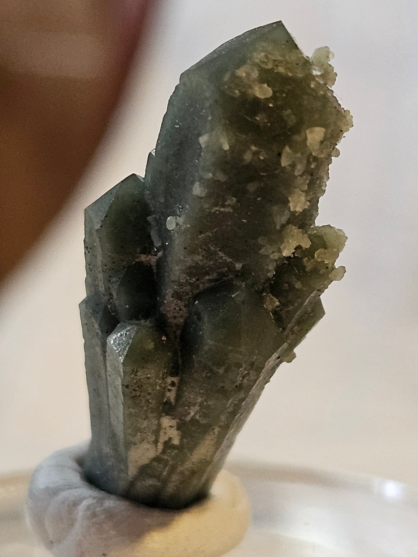 Green Quartz Cluster [Ilvaite on Hedenbergite] (2) : Mongolia