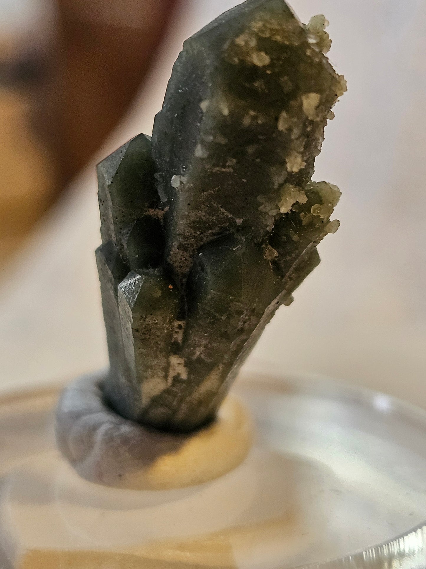 Green Quartz Cluster [Ilvaite on Hedenbergite] (2) : Mongolia