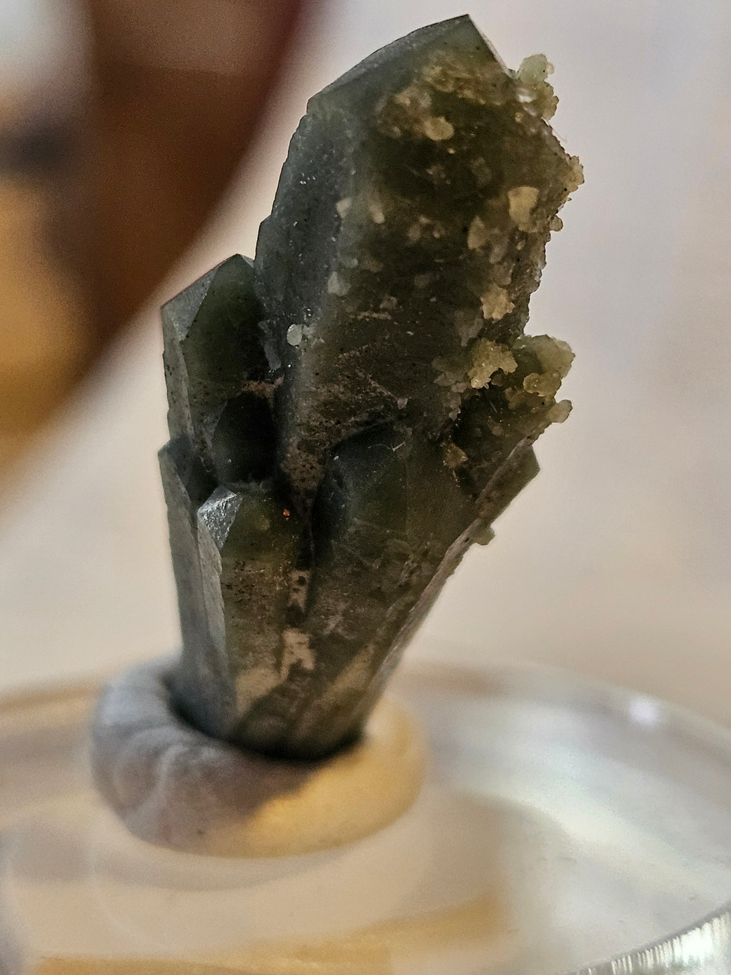 Green Quartz Cluster [Ilvaite on Hedenbergite] (2) : Mongolia