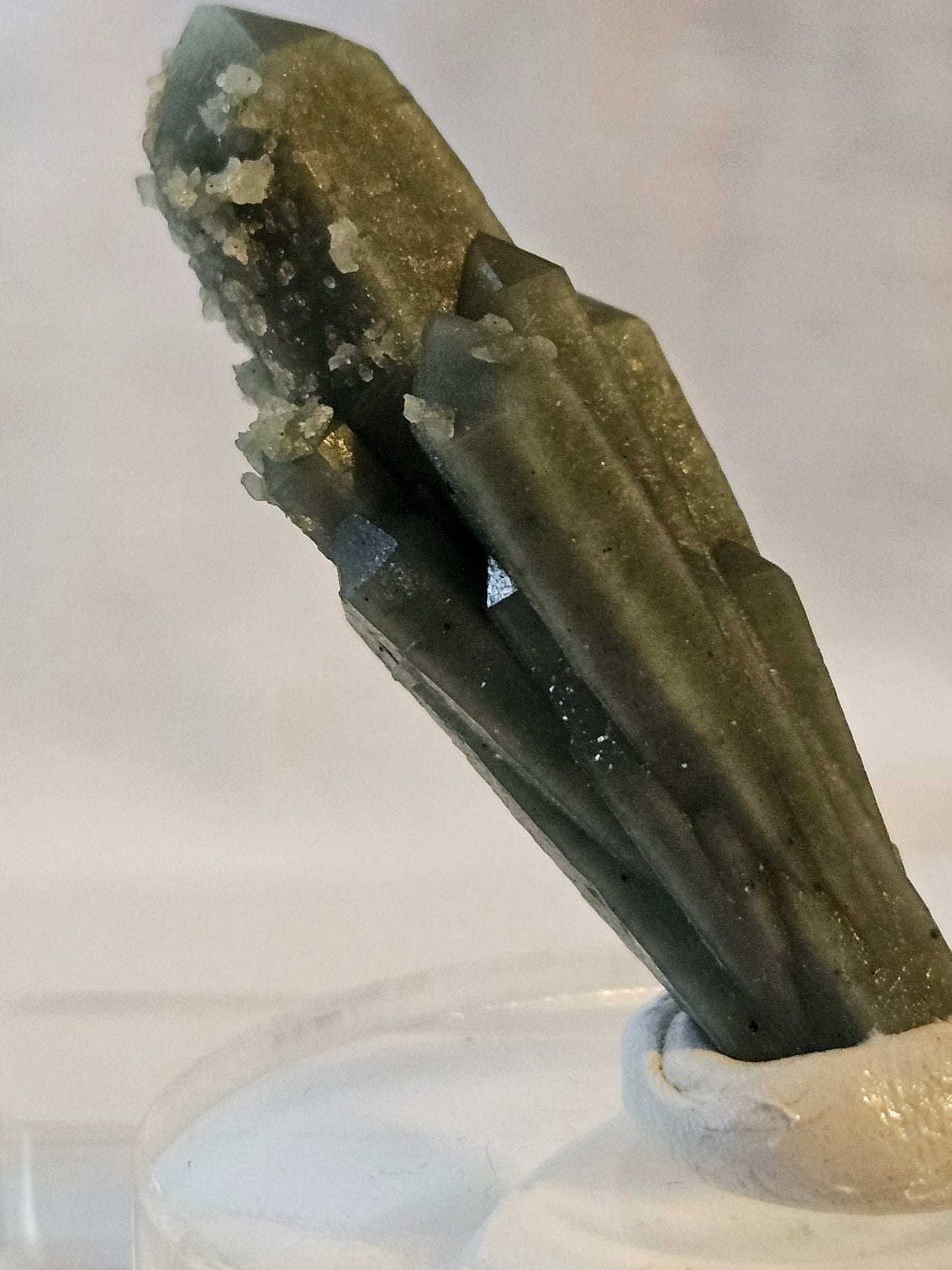 Green Quartz Cluster [Ilvaite on Hedenbergite] (2) : Mongolia