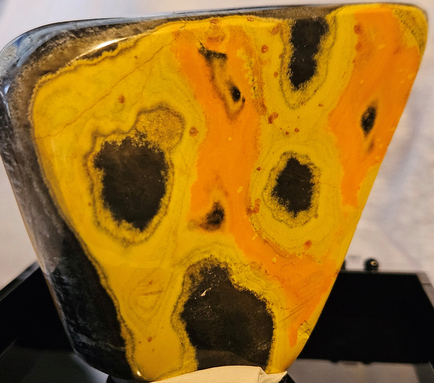 Bumble Bee Jasper FF [Indonesia]