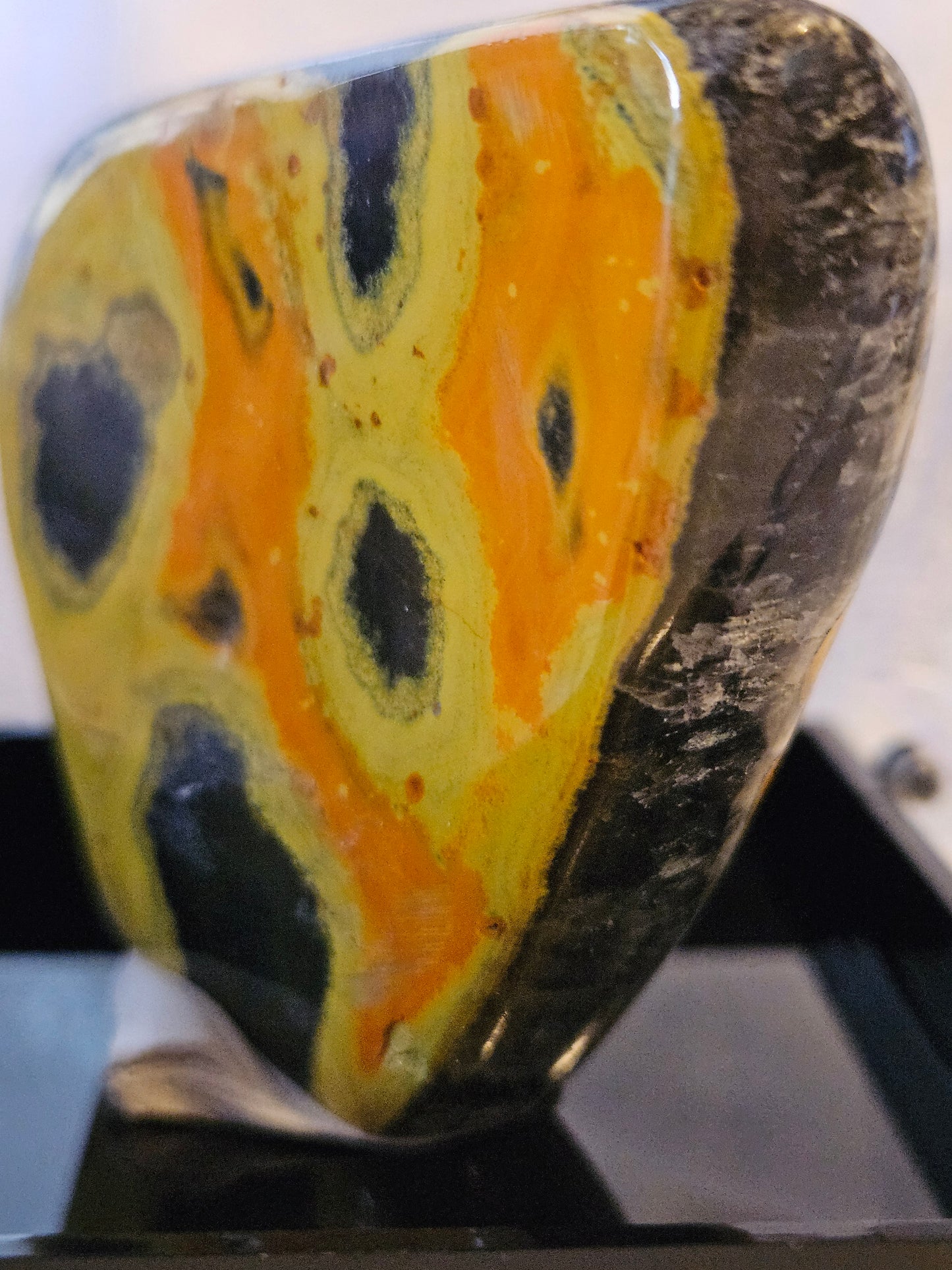 Bumble Bee Jasper FF [Indonesia]