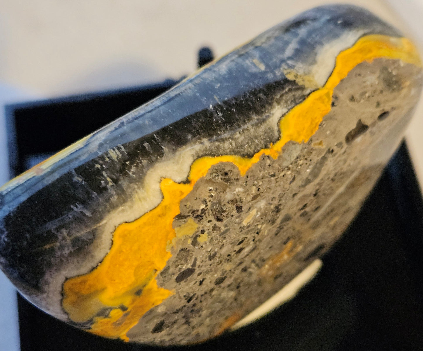 Bumble Bee Jasper FF [Indonesia]